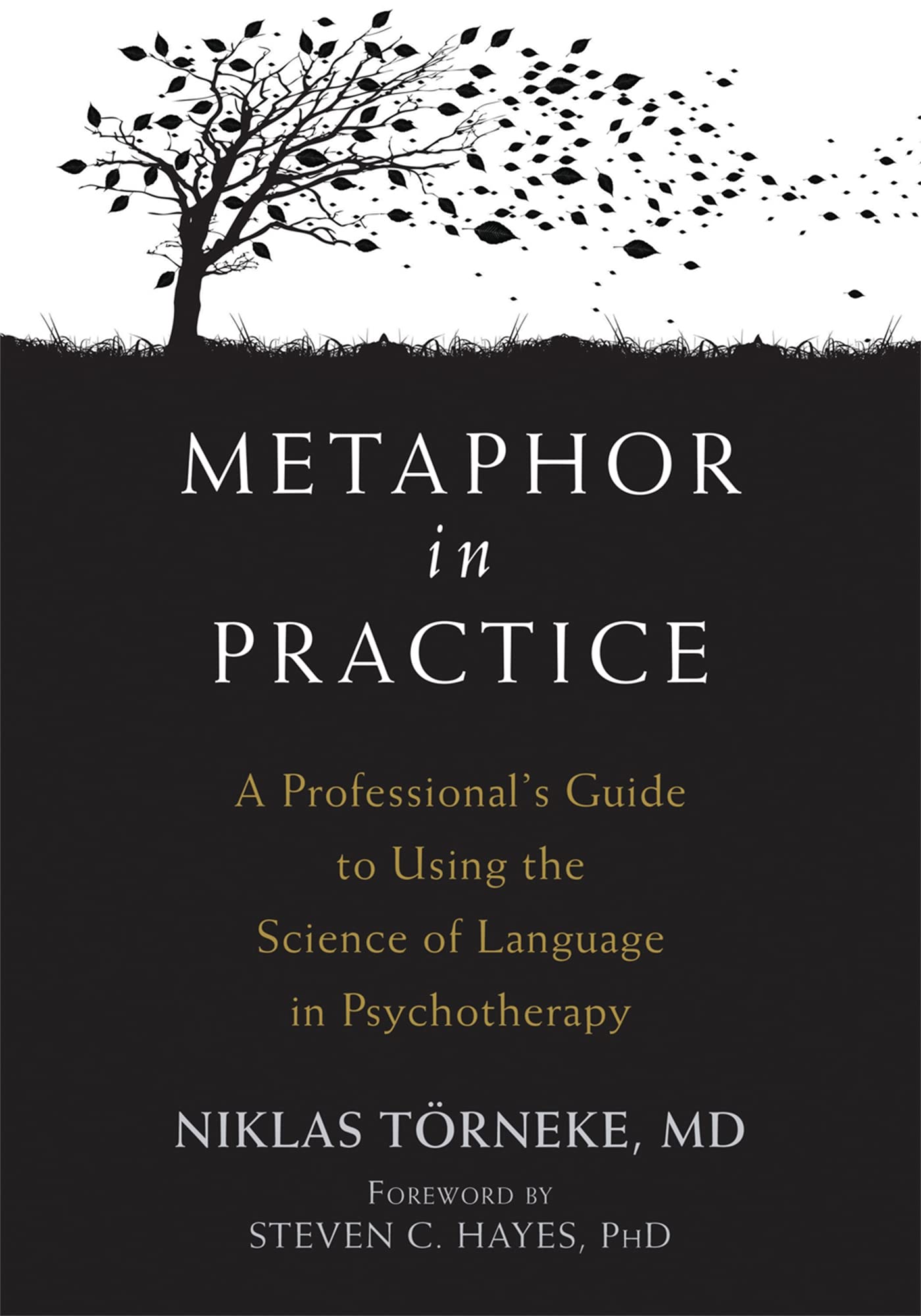 Metaphor in Practice: A Professional's Guide to Using the Science of Language in Psychotherapy Medicine