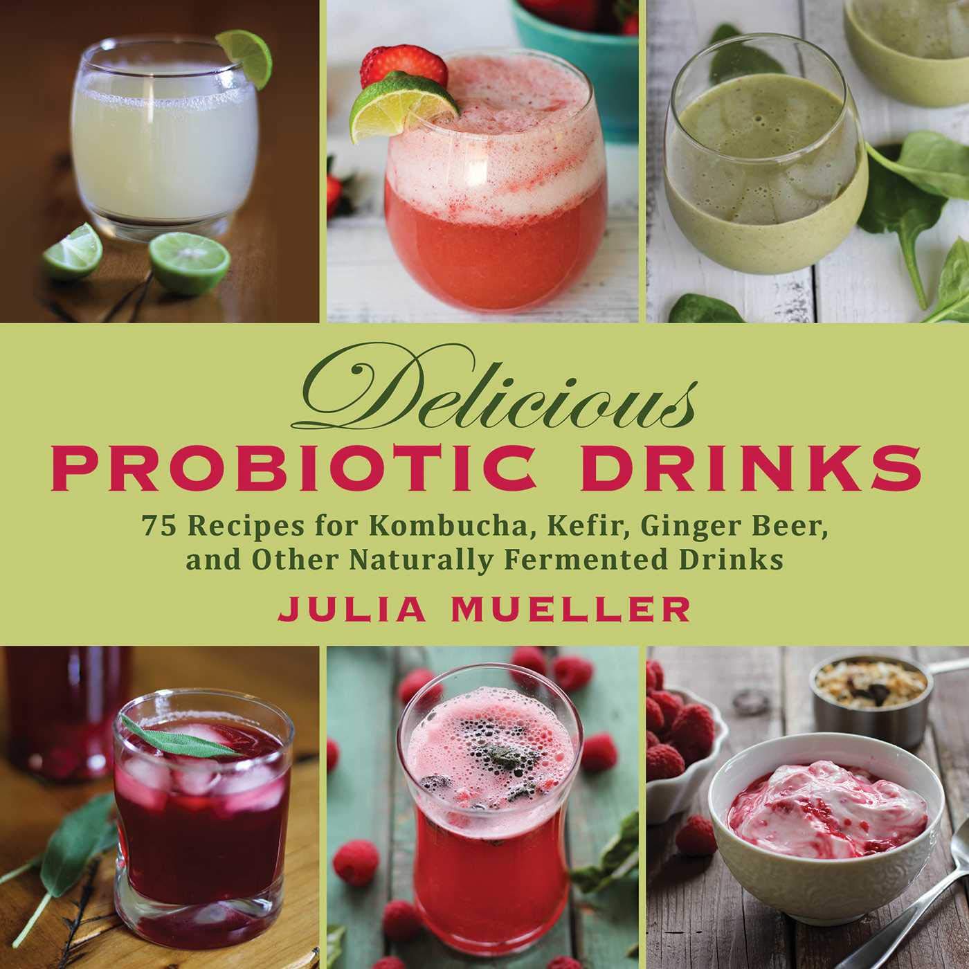Delicious Probiotic Drinks: 75 Recipes for Kombucha, Kefir, Ginger Beer, and Other Naturally Fermented Drinks Leisure, Home & Garden