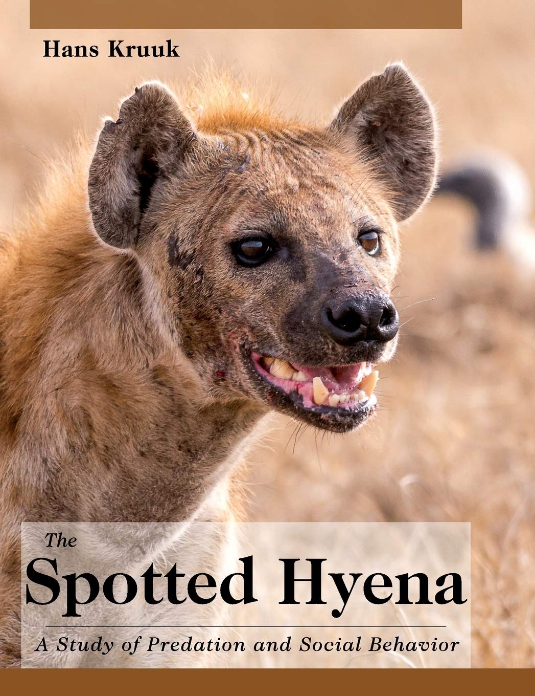 The Spotted Hyena: A Study of Predation and Social Behavior Pets