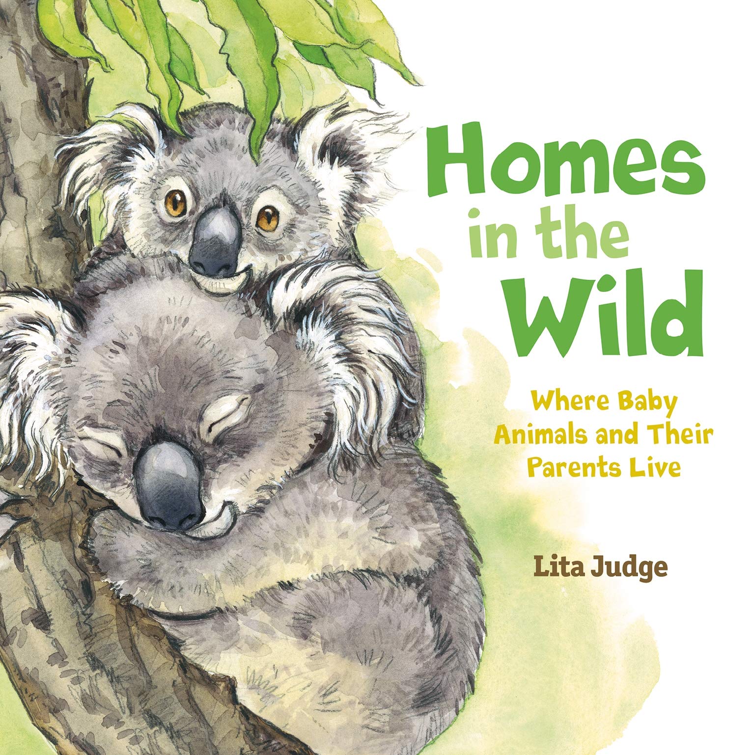 Homes in the Wild: Where Baby Animals and Their Parents Live Parents & Children