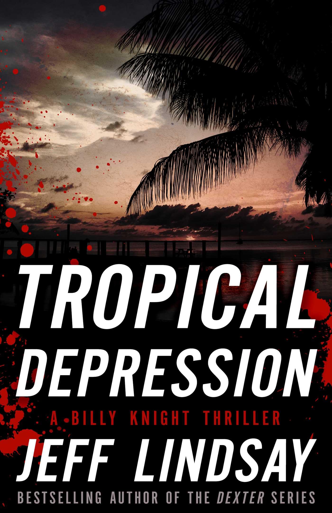 Tropical Depression: A Billy Knight Thriller (Billy Knight Thrillers, 1, Band 1) Action & Adventure