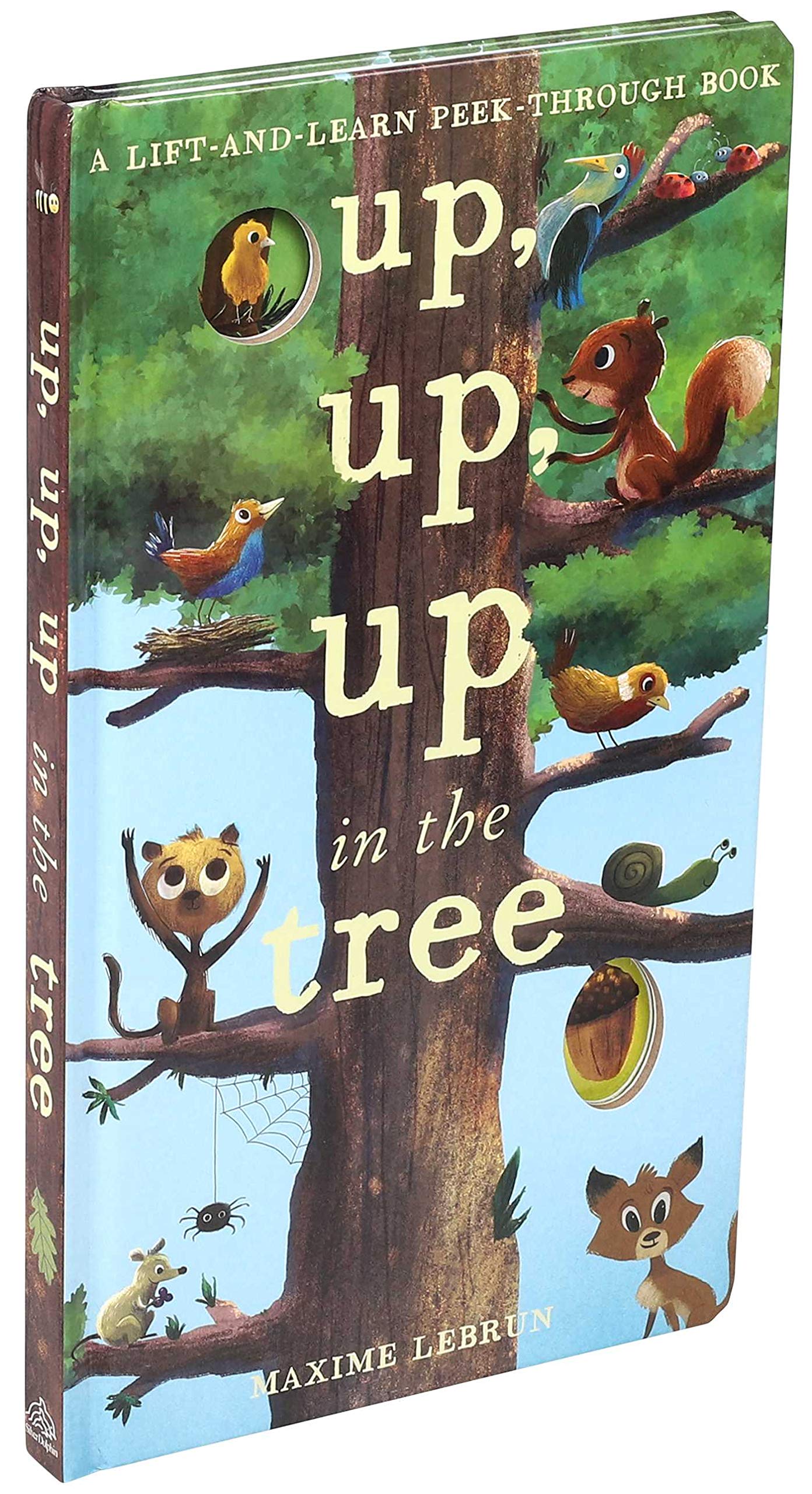 Up, Up, Up in the Tree (Lift-and-learn Peek-through Book) Non-fiction