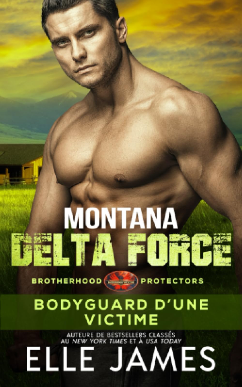 MONTANA DELTA FORCE: Bodyguard D’Une Victime book
