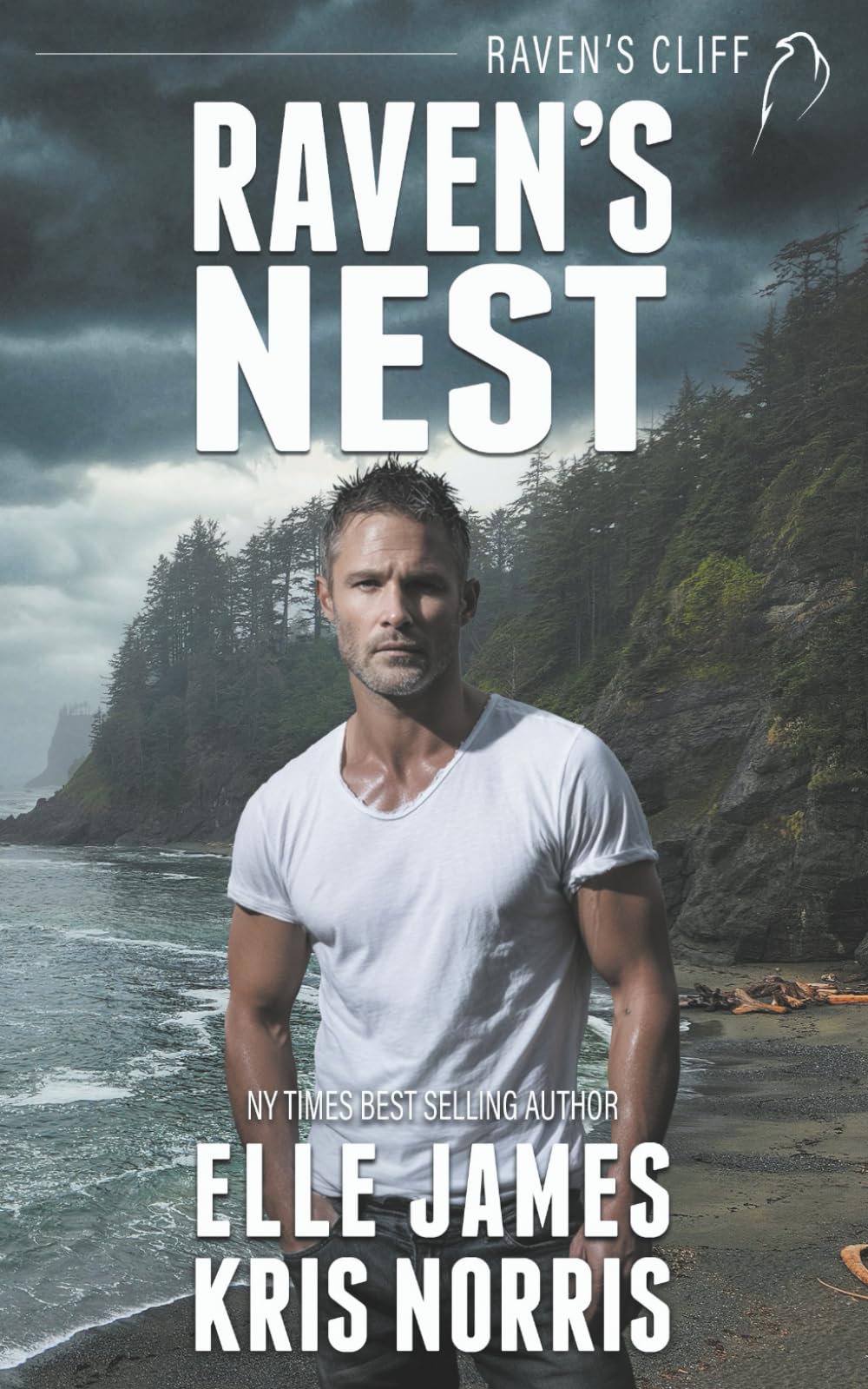 Raven's Nest (Raven's Cliff, Band 3) Romantic Thrillers