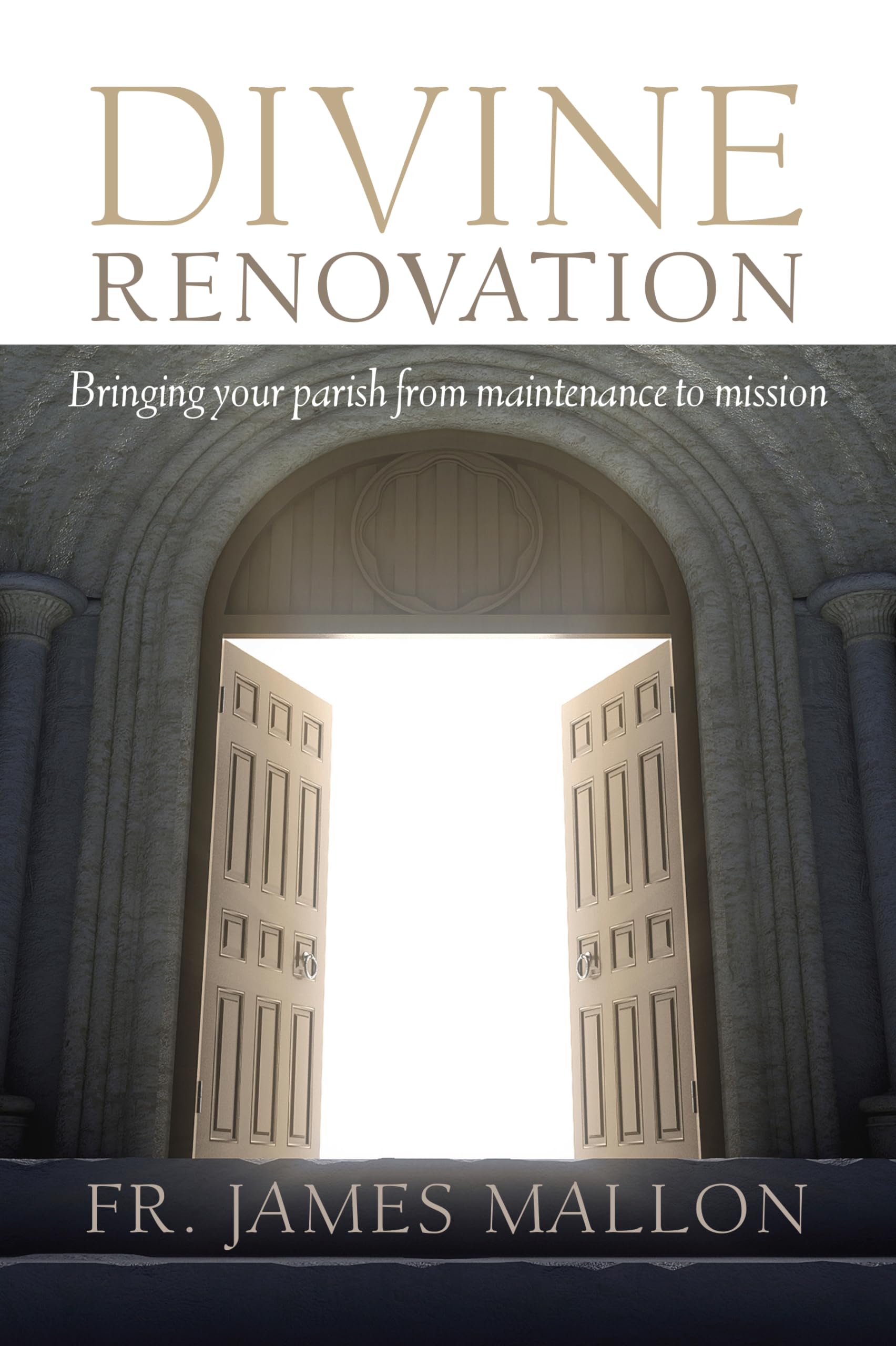 Divine Renovation Bringing Your Parish from Maintenance to Mission Social Sciences