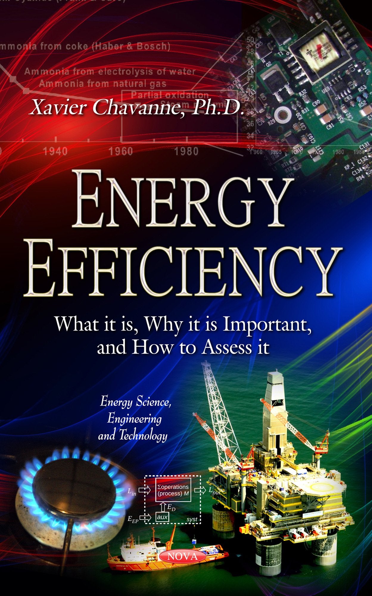 Energy Efficiency: What It Is, Why It Is Important, and How to Assess It (Energy Science, Engineering and Technology) Social Sciences