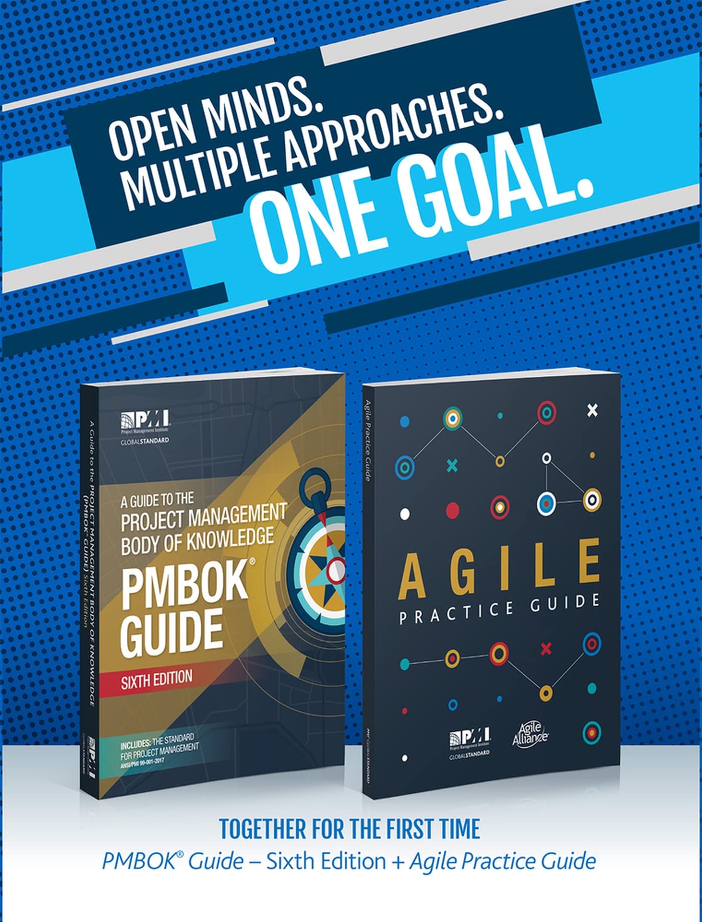 A Guide to the Project Management Body of Knowledge / Agile Practice Guide (Pmbok Guide) Business, Finance & Career