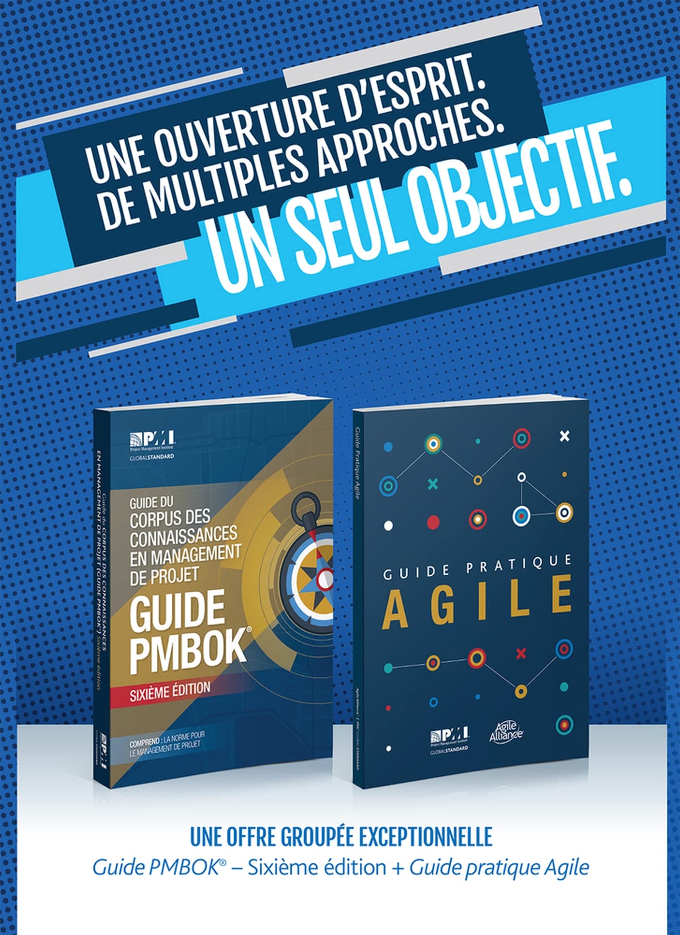 A Guide to the Project Management Body of Knowledge (Pmbok(r) Guide-Sixth Edition / Agile Practice Guide Bundle (French) Business, Finance & Career
