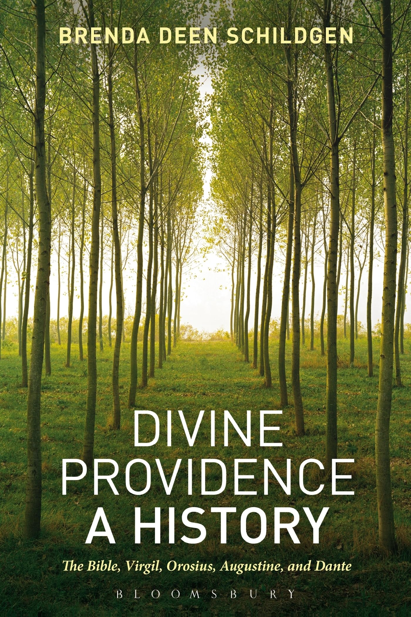 Divine Providence: A History: The Bible, Virgil, Orosius, Augustine, And Dante Philosophy