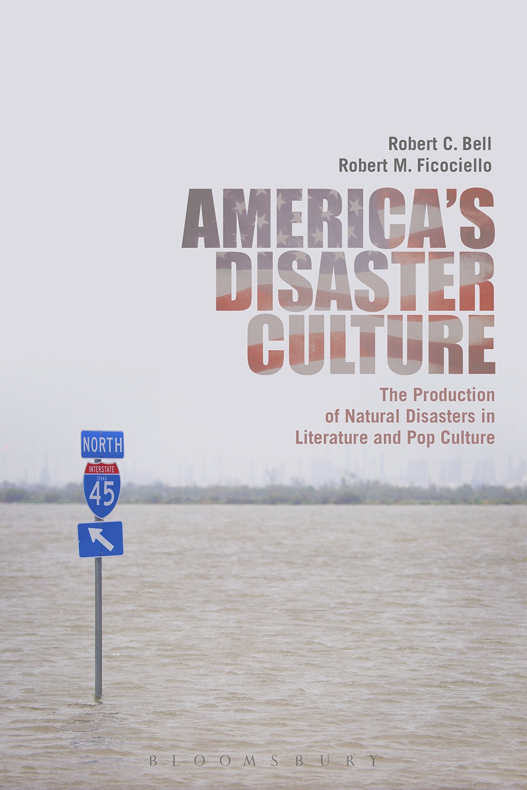 America's Disaster Culture: The Production of Natural Disasters in Literature and Pop Culture Social Sciences