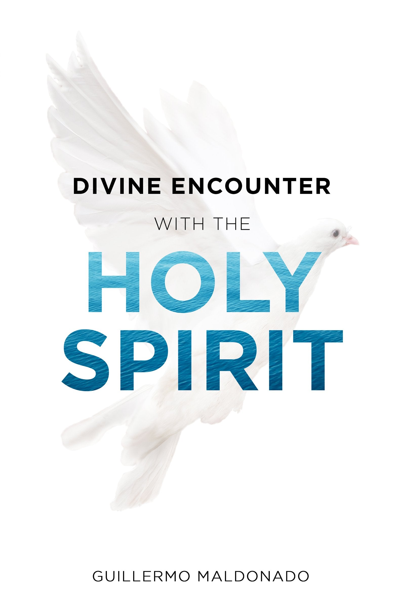 Divine Encounter with the Holy Spirit Social Sciences
