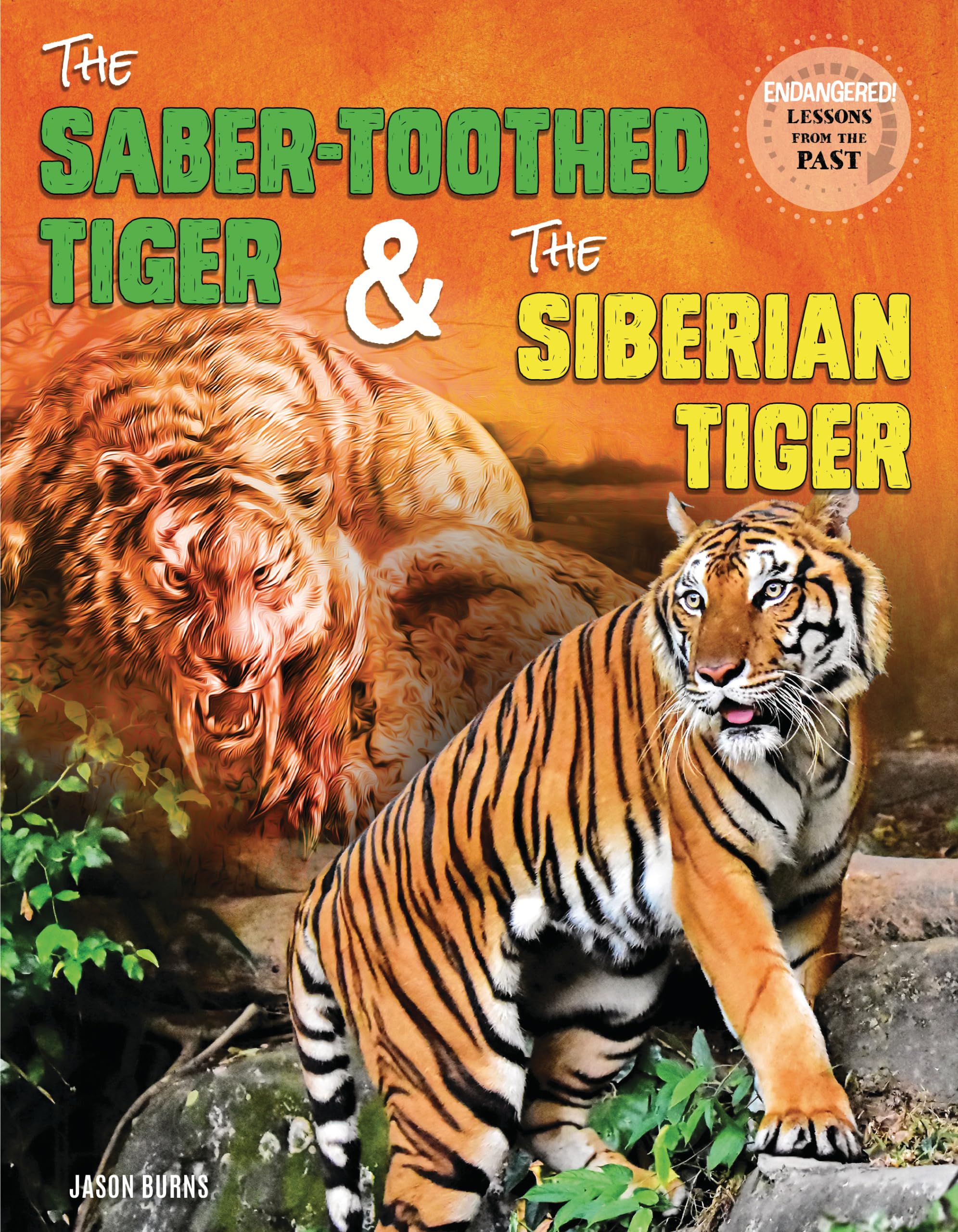 The Saber-toothed Tiger and the Siberian Tiger (Endangered: Lessons from the Past) Non-fiction