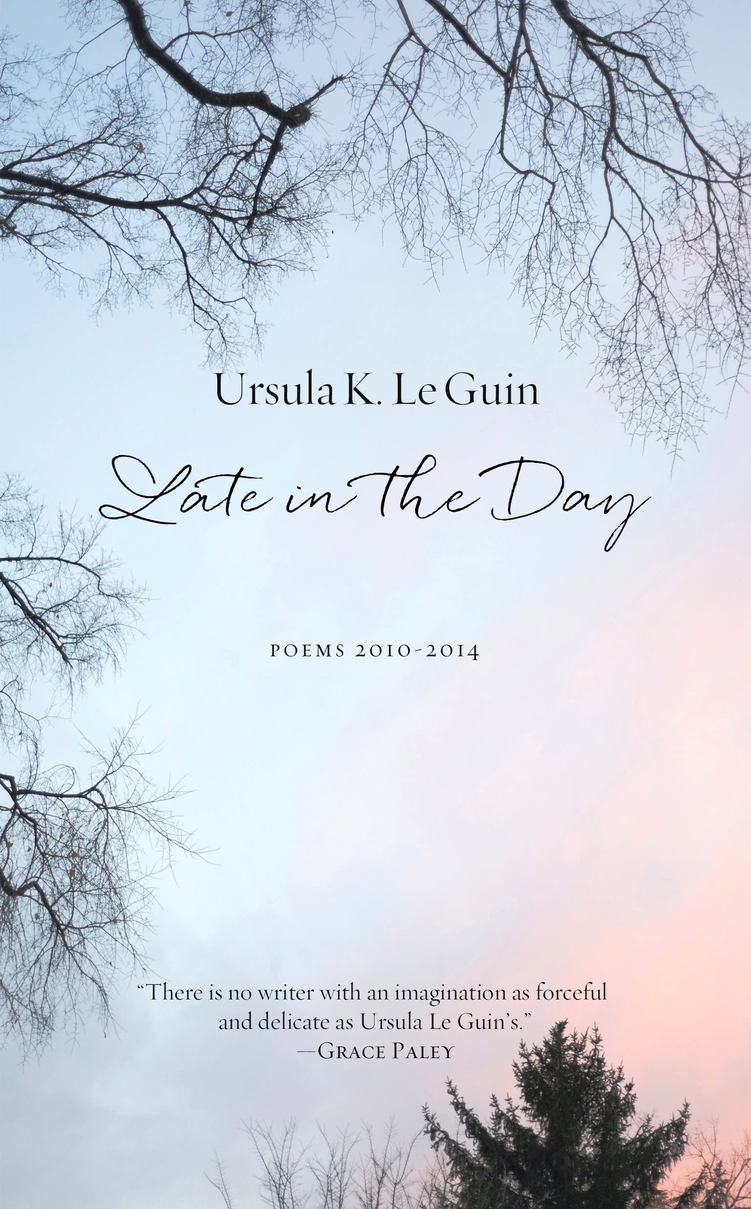 Late in the Day: Poems 2010–2014 Poetry