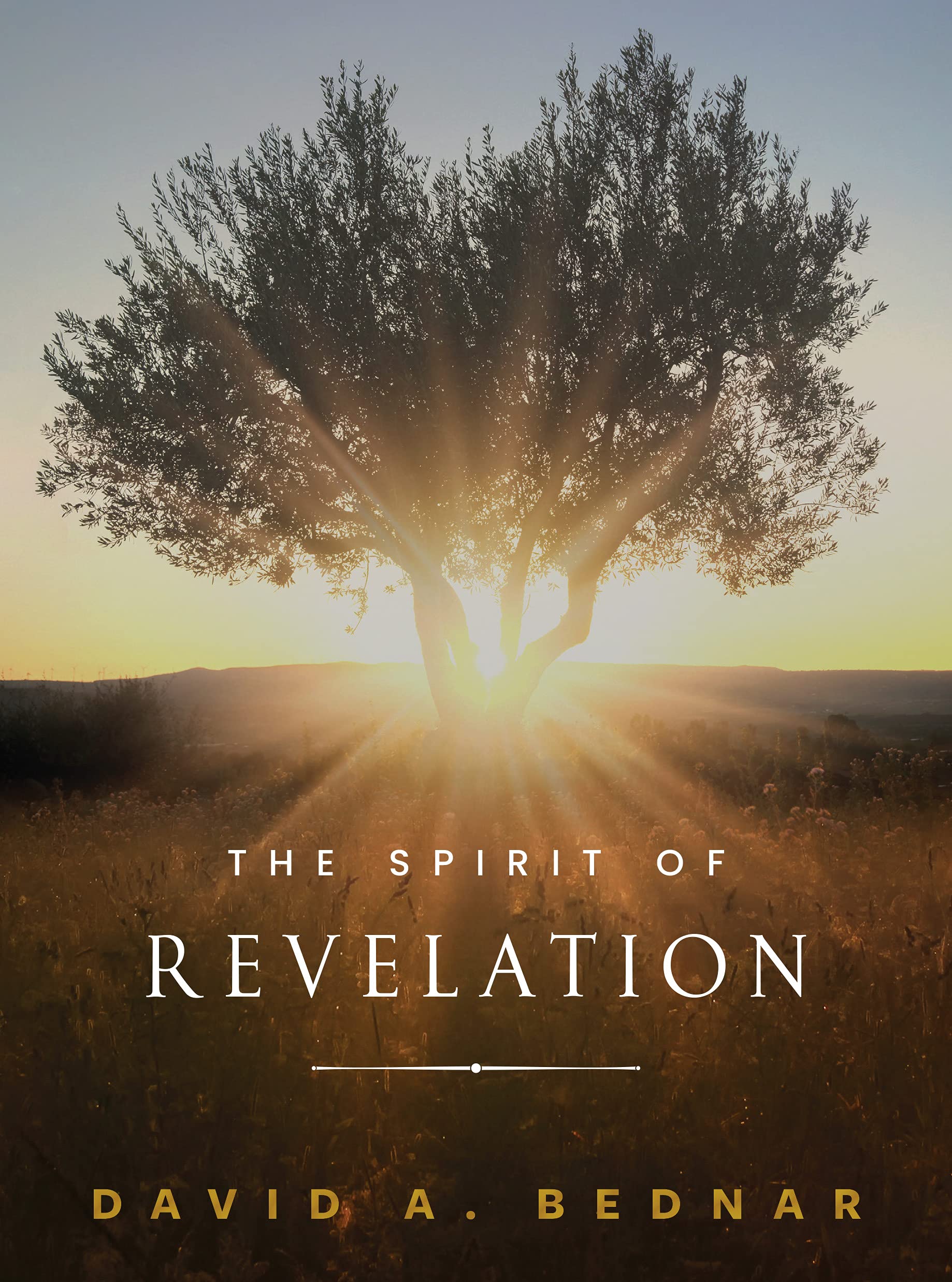 The Spirit of Revelation Books