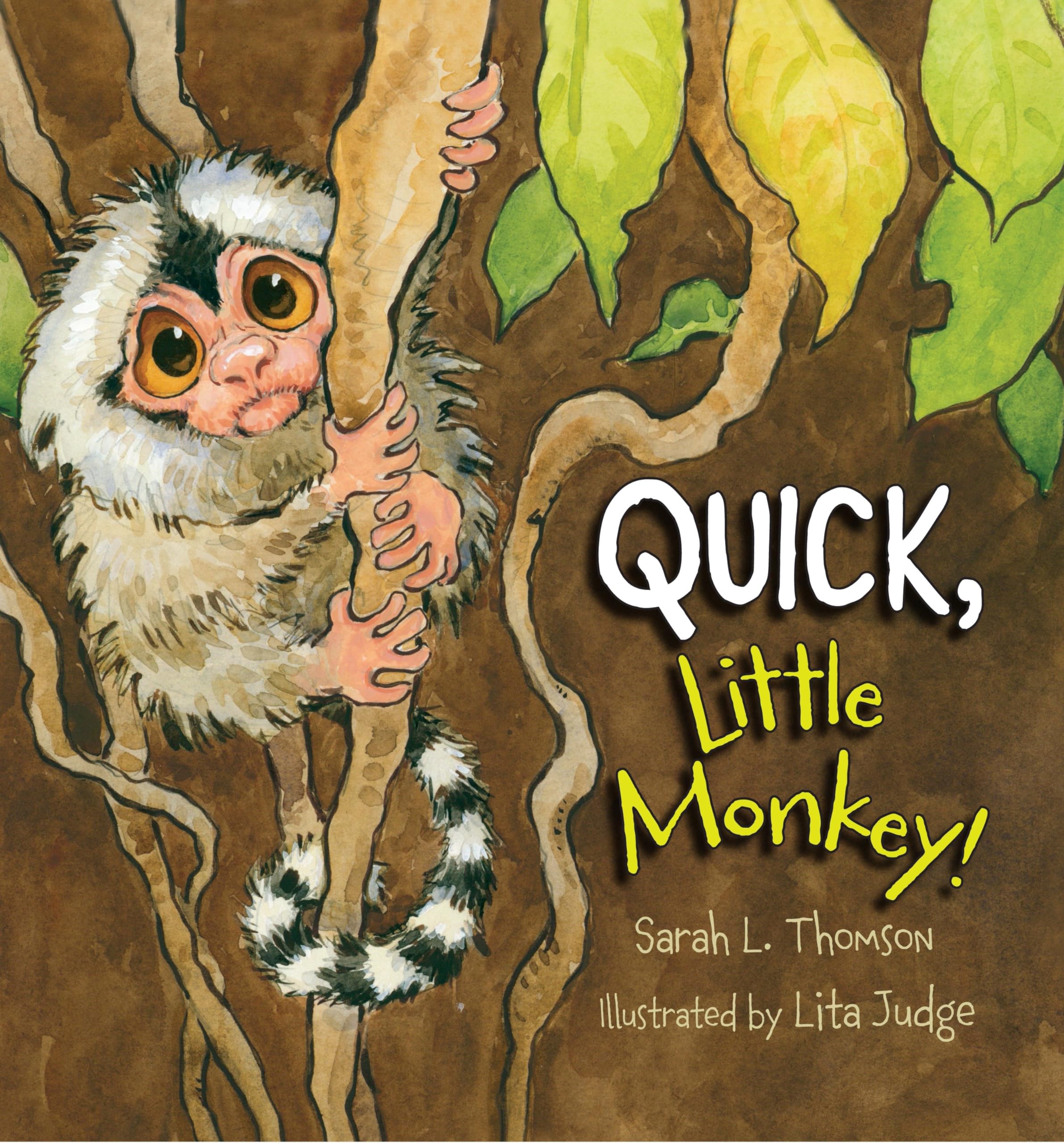 Quick, Little Monkey! Non-fiction