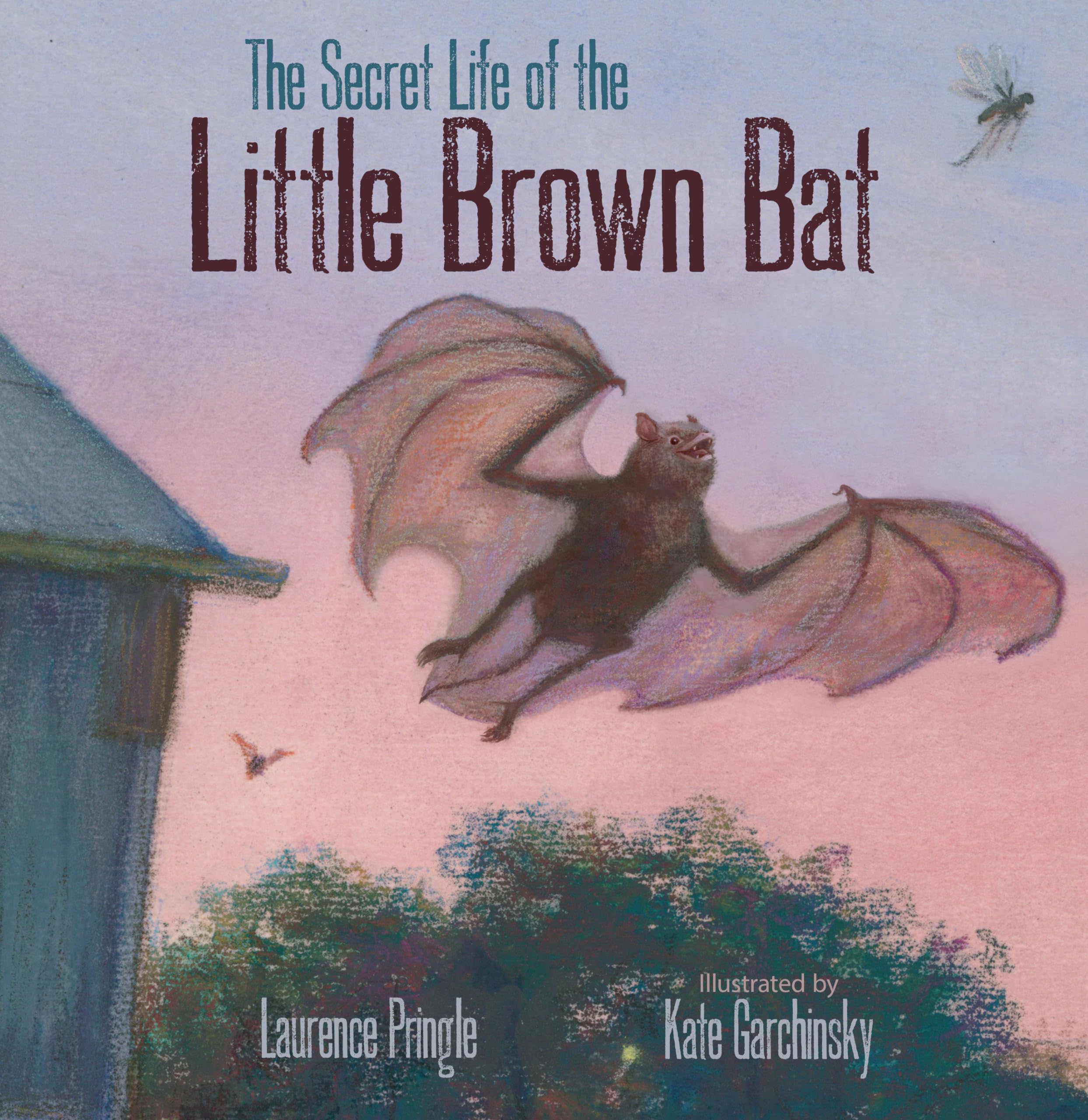 The Secret Life of the Little Brown Bat Non-fiction