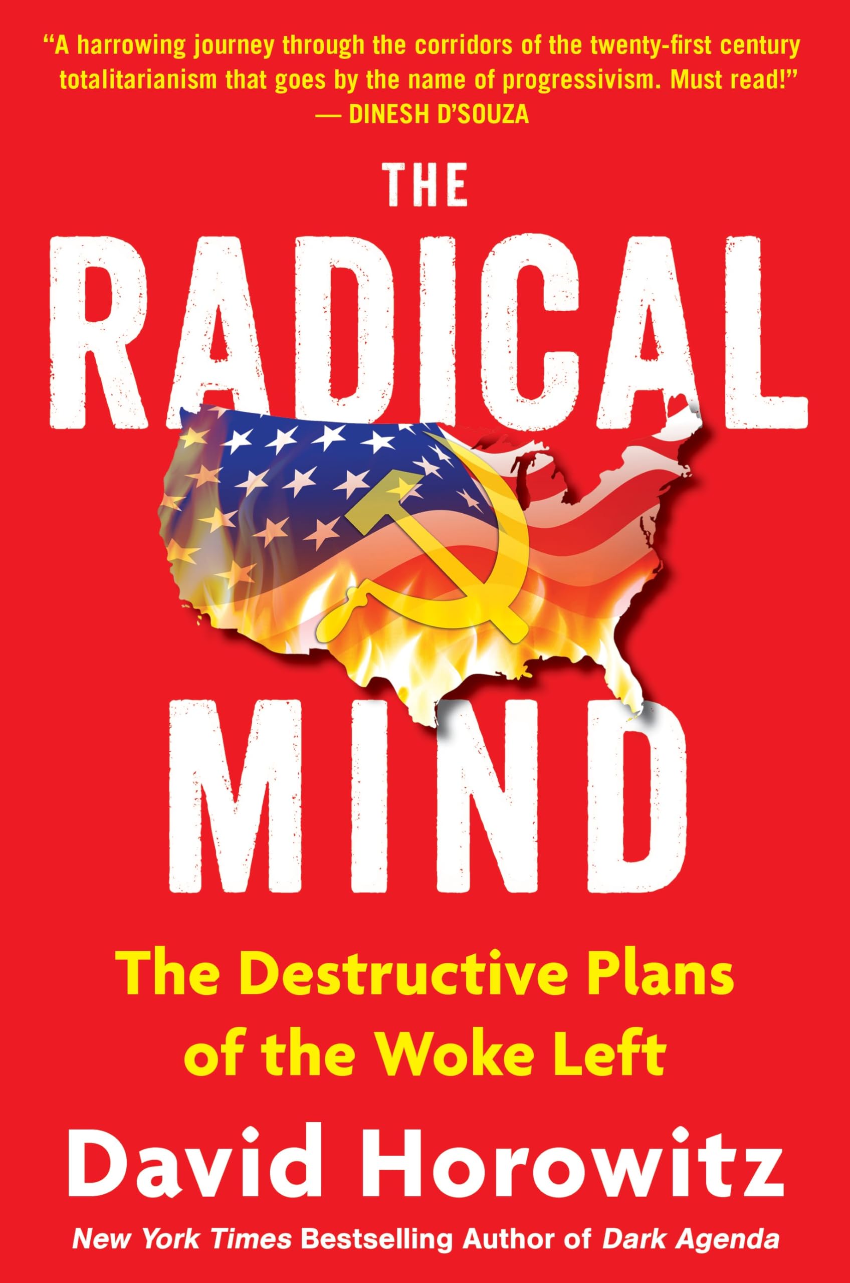 The Radical Mind: The Destructive Plans of the Woke Left Law