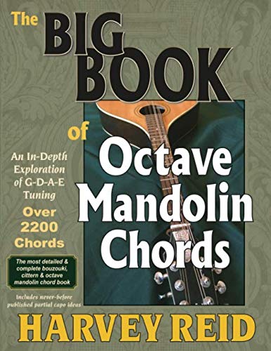 The BIG BOOK of Octave Mandolin Chords: An In-Depth Exploration of G-D-A-E Tuning Arts & Music