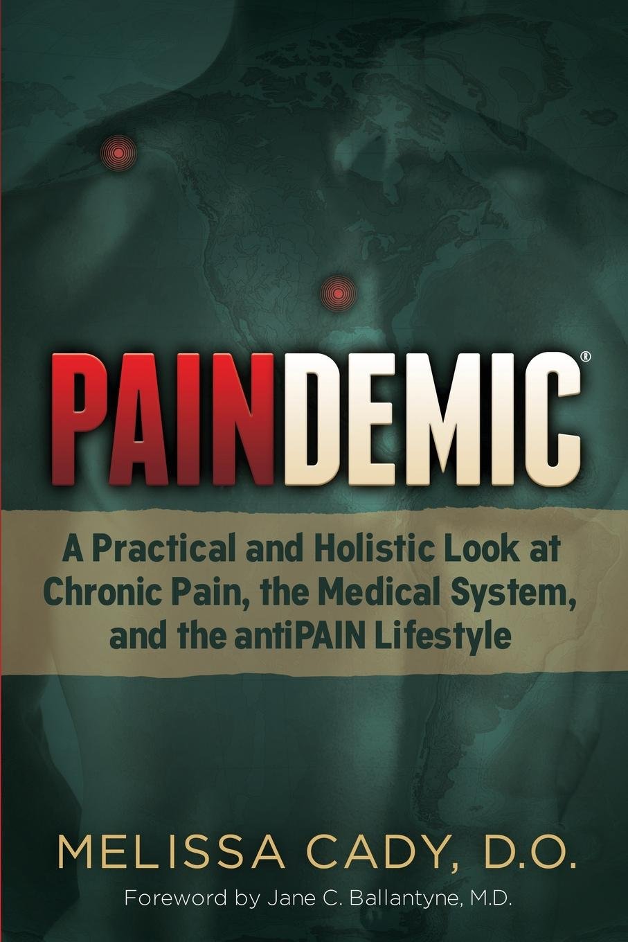 Paindemic: A Practical and Holistic Look at Chronic Pain, the Medical System, and the Antipain Lifestyle book