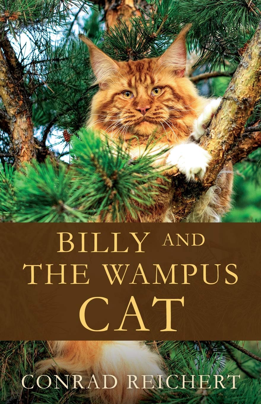 Billy and the Wampus Cat General education