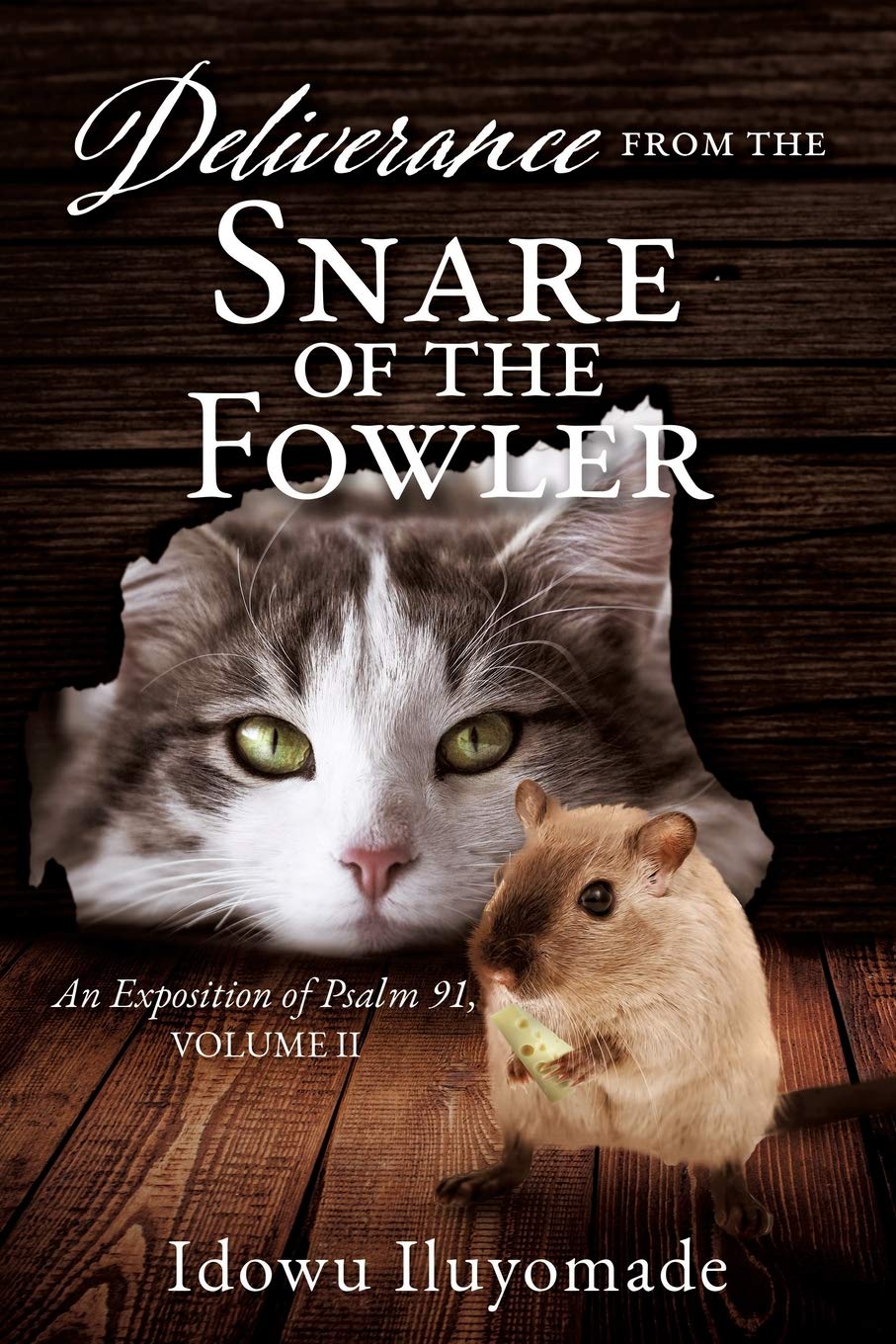 Deliverance from the Snare of the Fowler: An Exposition of Psalm 91, Volume II Social Sciences