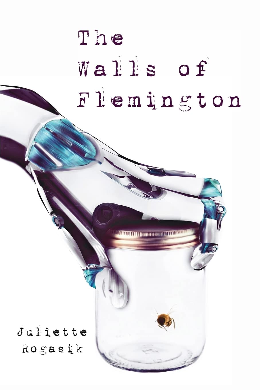 The Walls of Flemington book