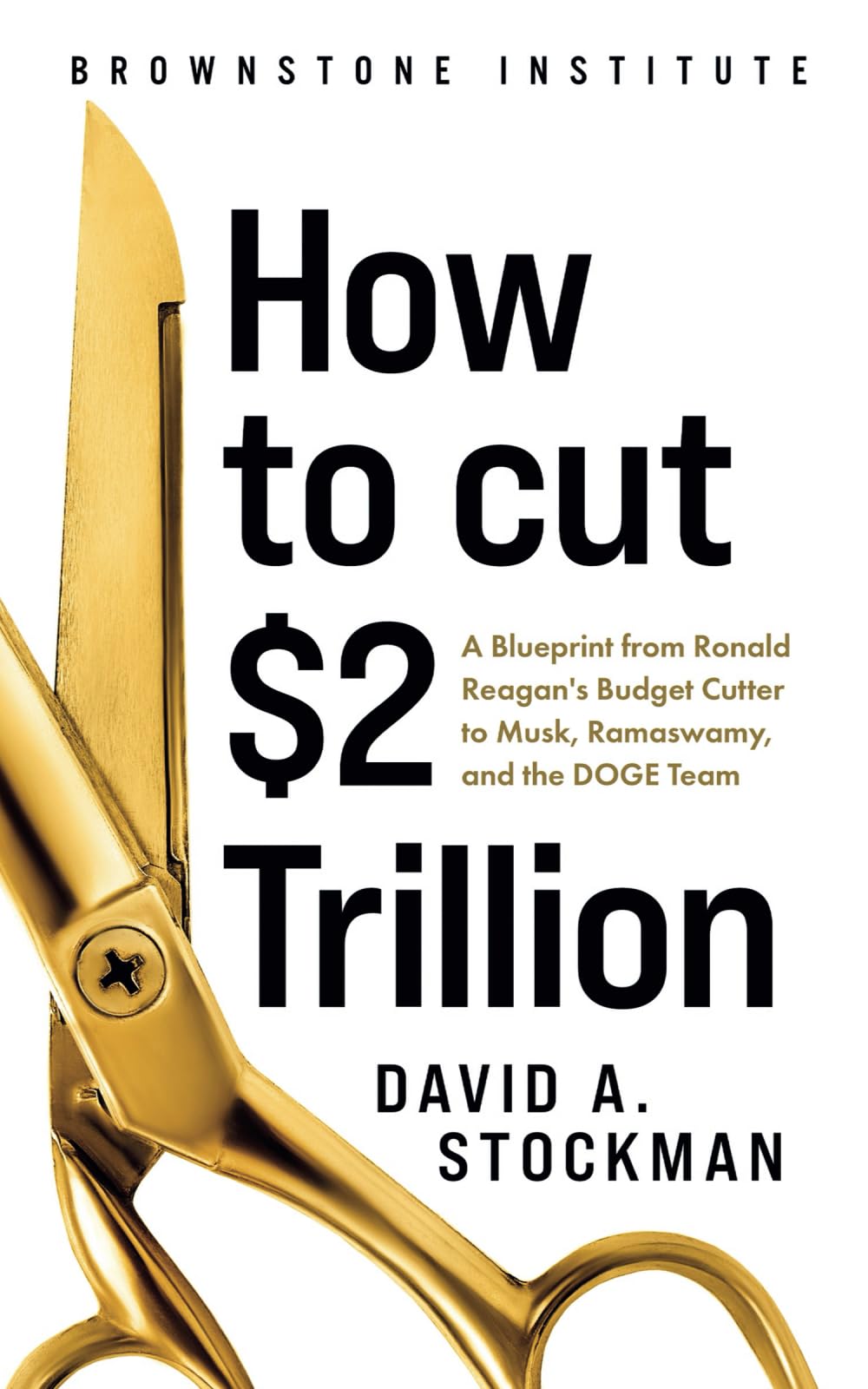 How To Cut $2 Trillion: A Blueprint From Ronald Reagan’s Budget Cutter To Musk, Ramaswamy And The DOGE TEAM Social Sciences