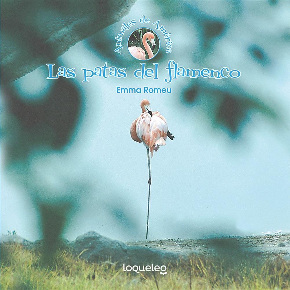 Las Patas del Flamenco book