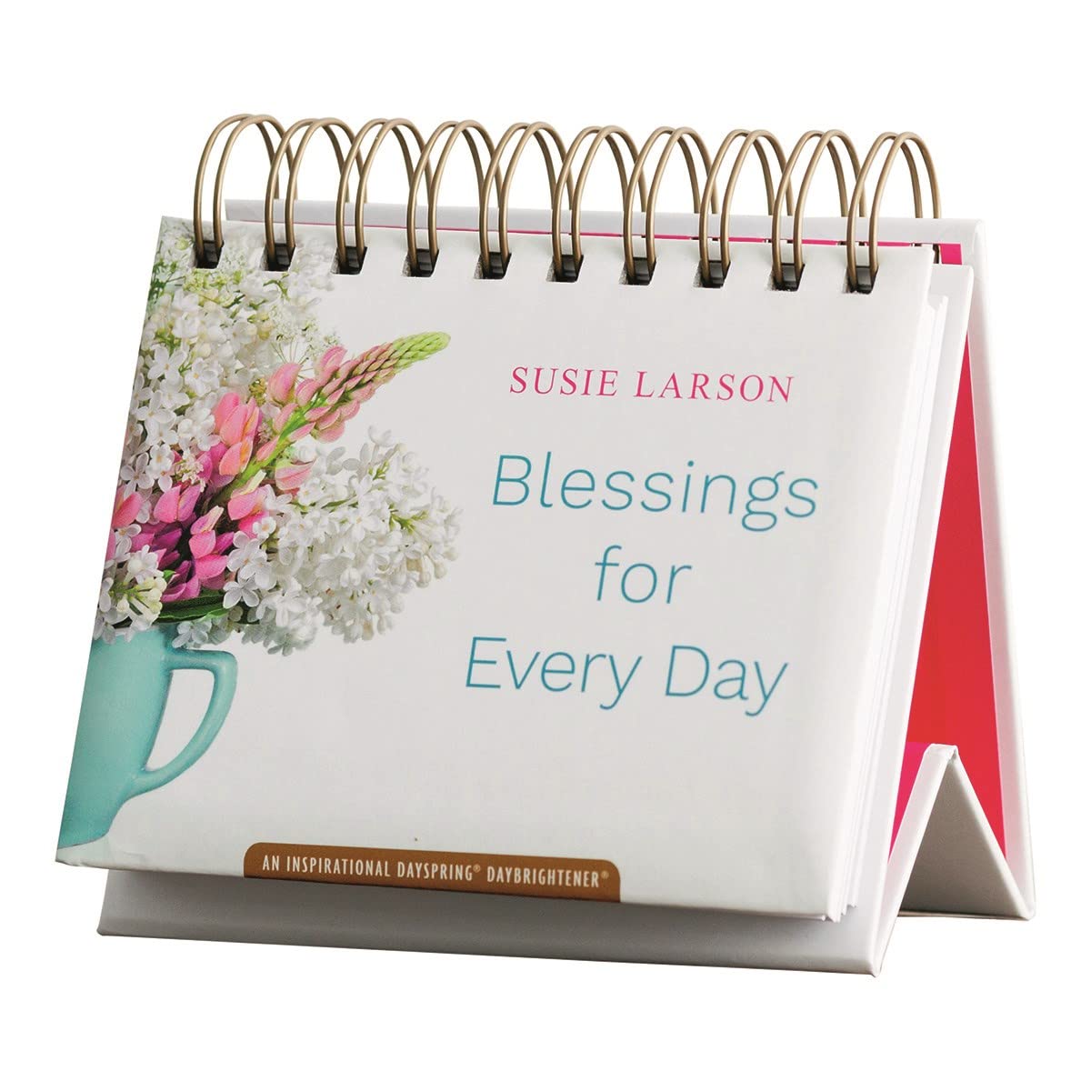 Susie Larson – Blessings for Every Day – An Inspirational Dayspring DayBrightener – Calendrier perpétuel book