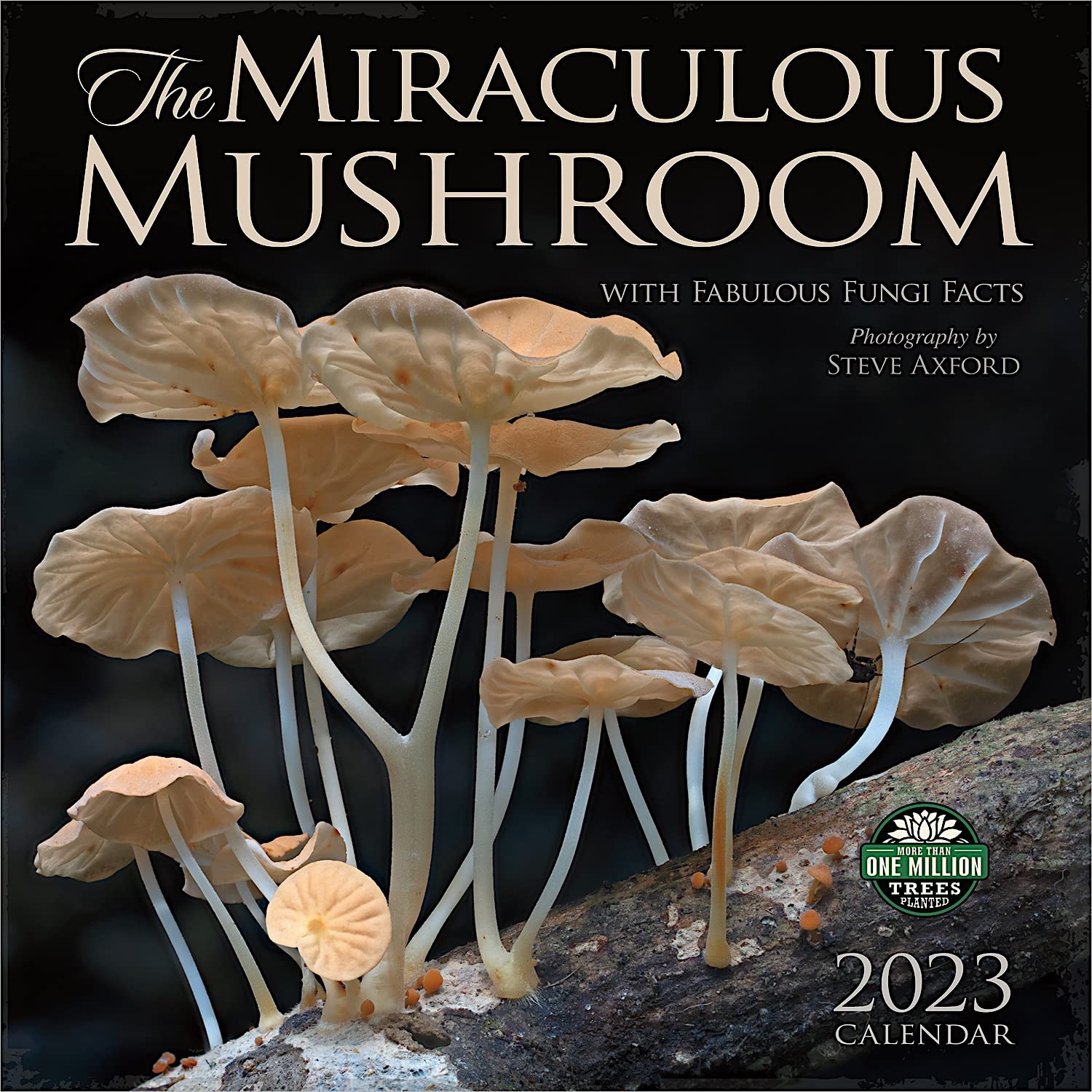 MIRACULOUS MUSHROOM 2023 WALL CALENDAR (SQUARE) Books