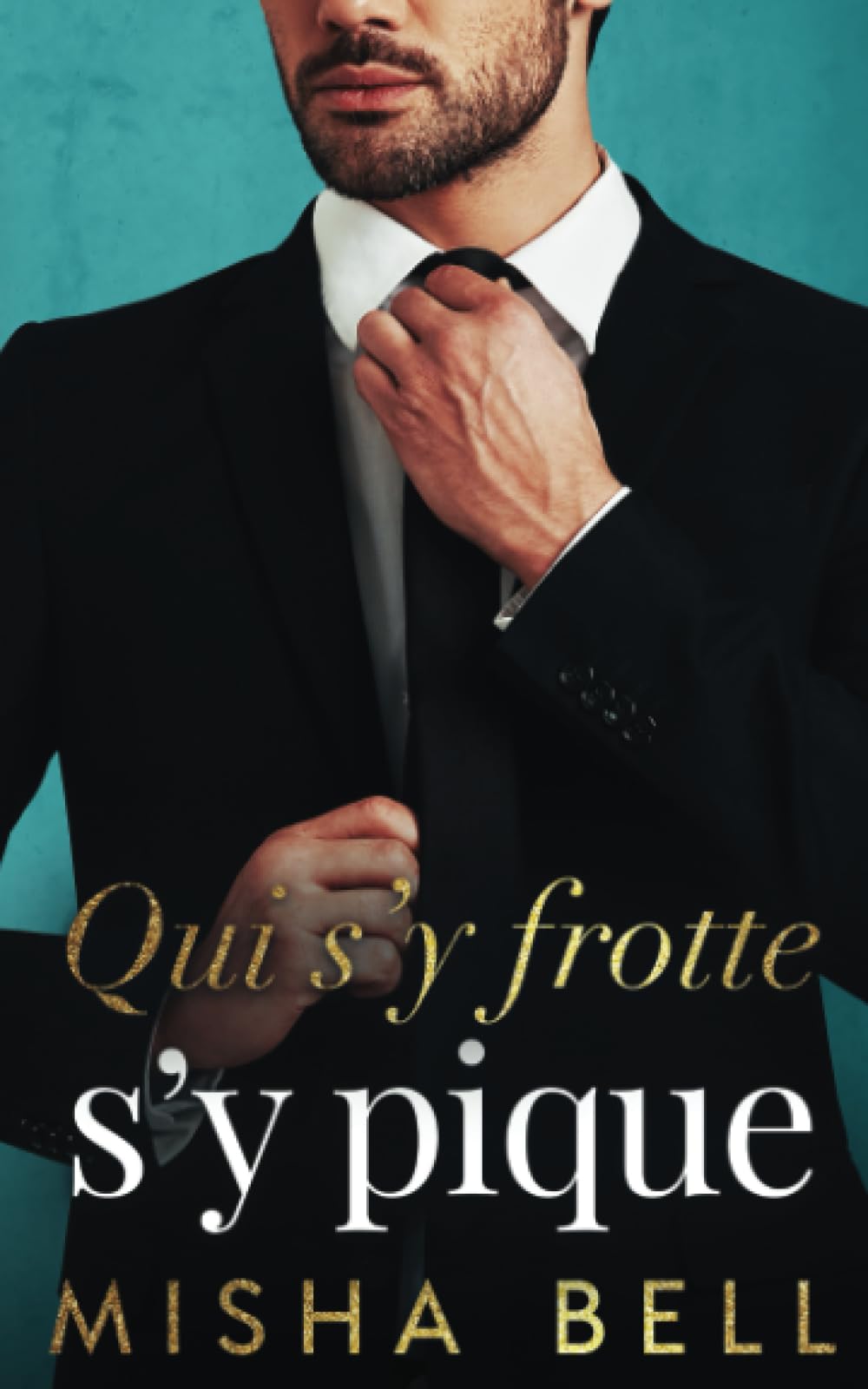 Qui s'y frotte s'y pique book