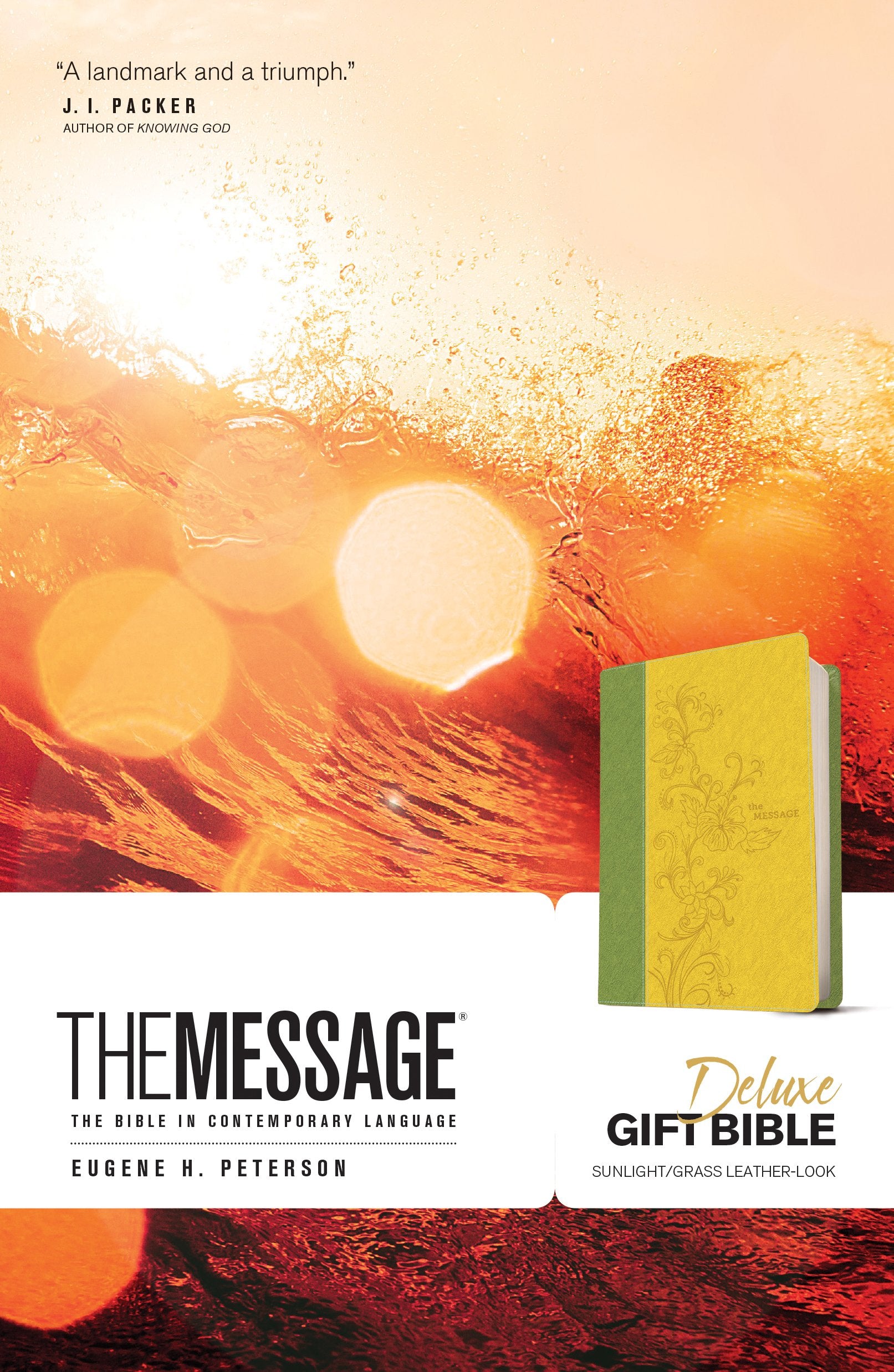 The Message: Sunlight / Grass, Leather-Look, The Bible in Contemporary Language Religion & Esotericism