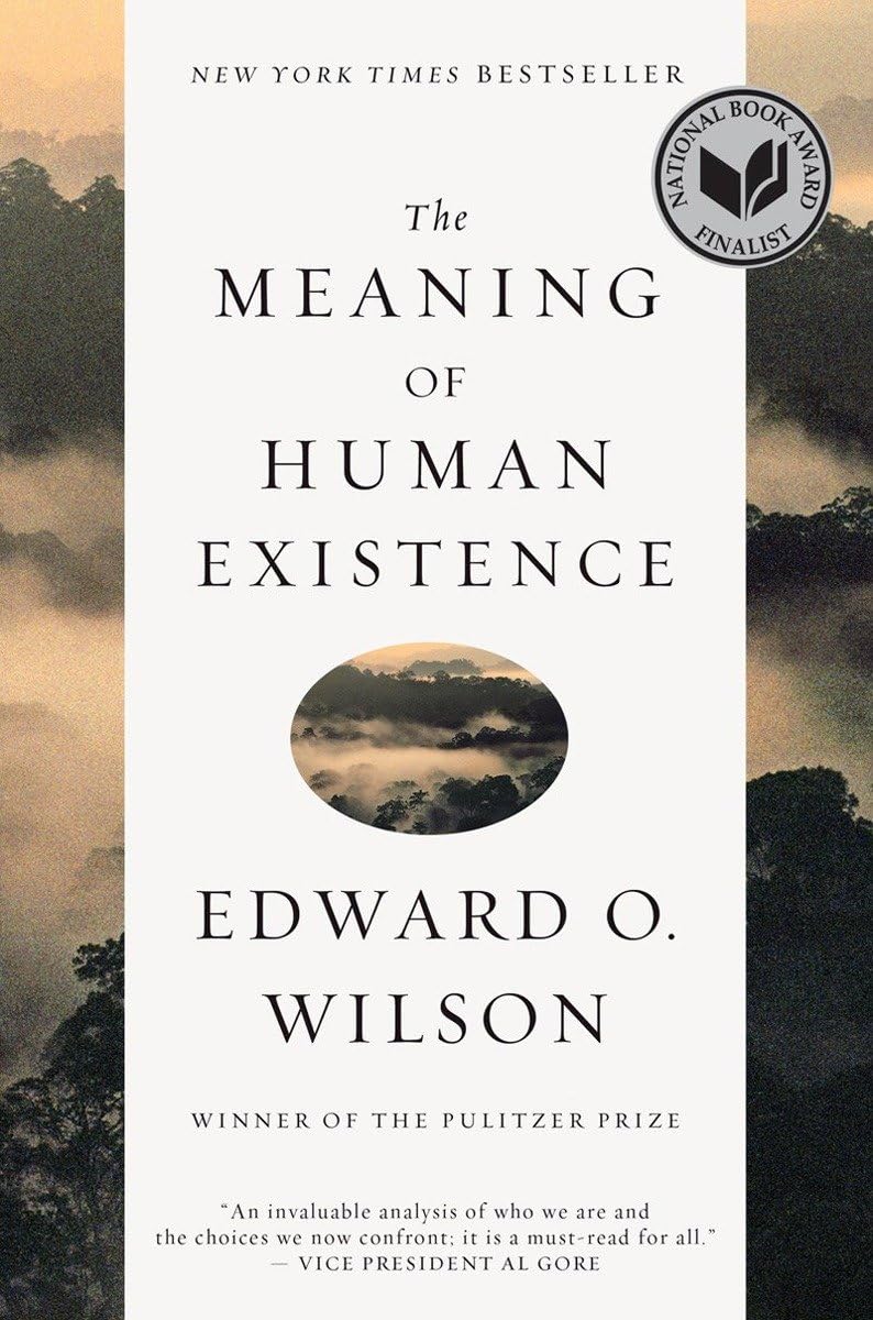 The Meaning of Human Existence Philosophy