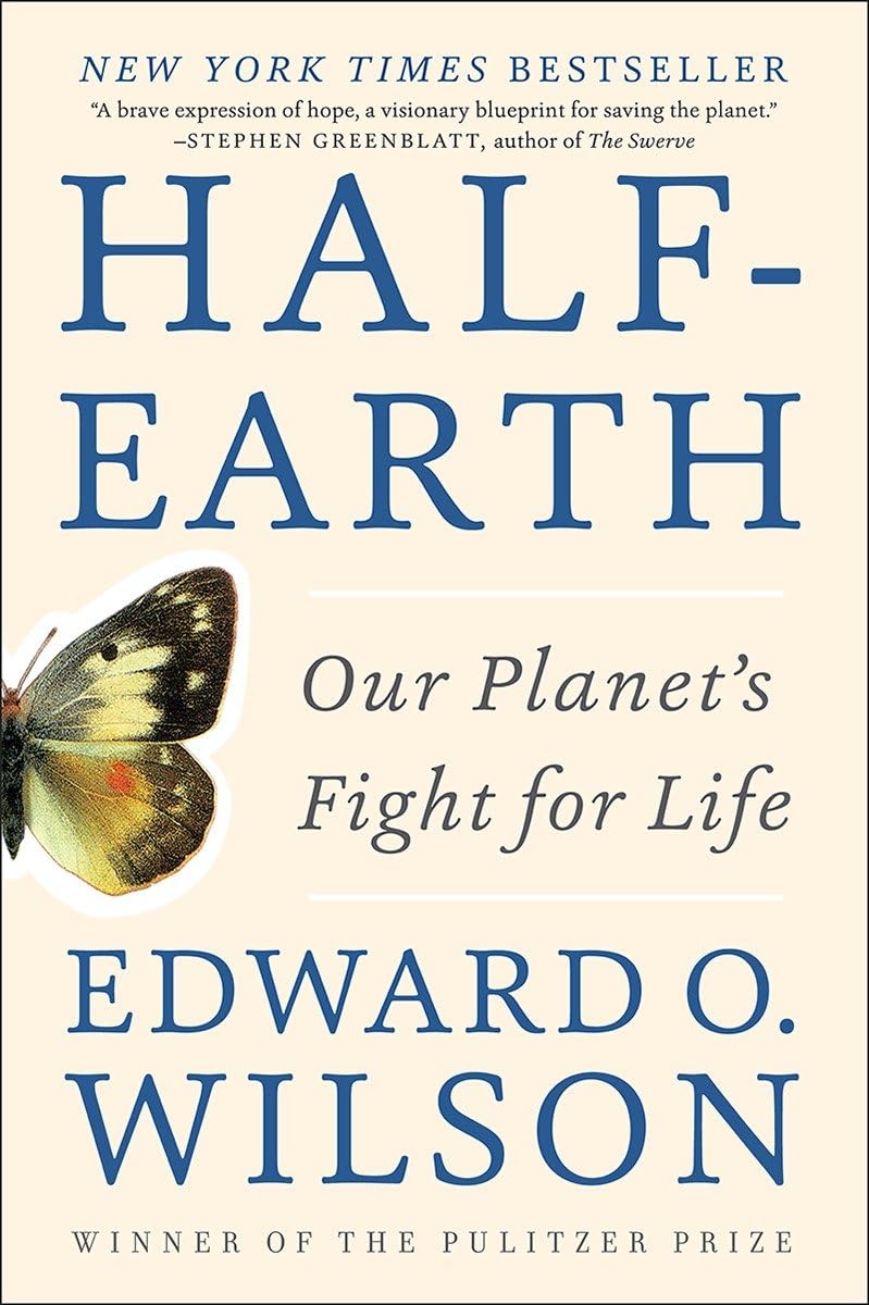Half-Earth Mathematics