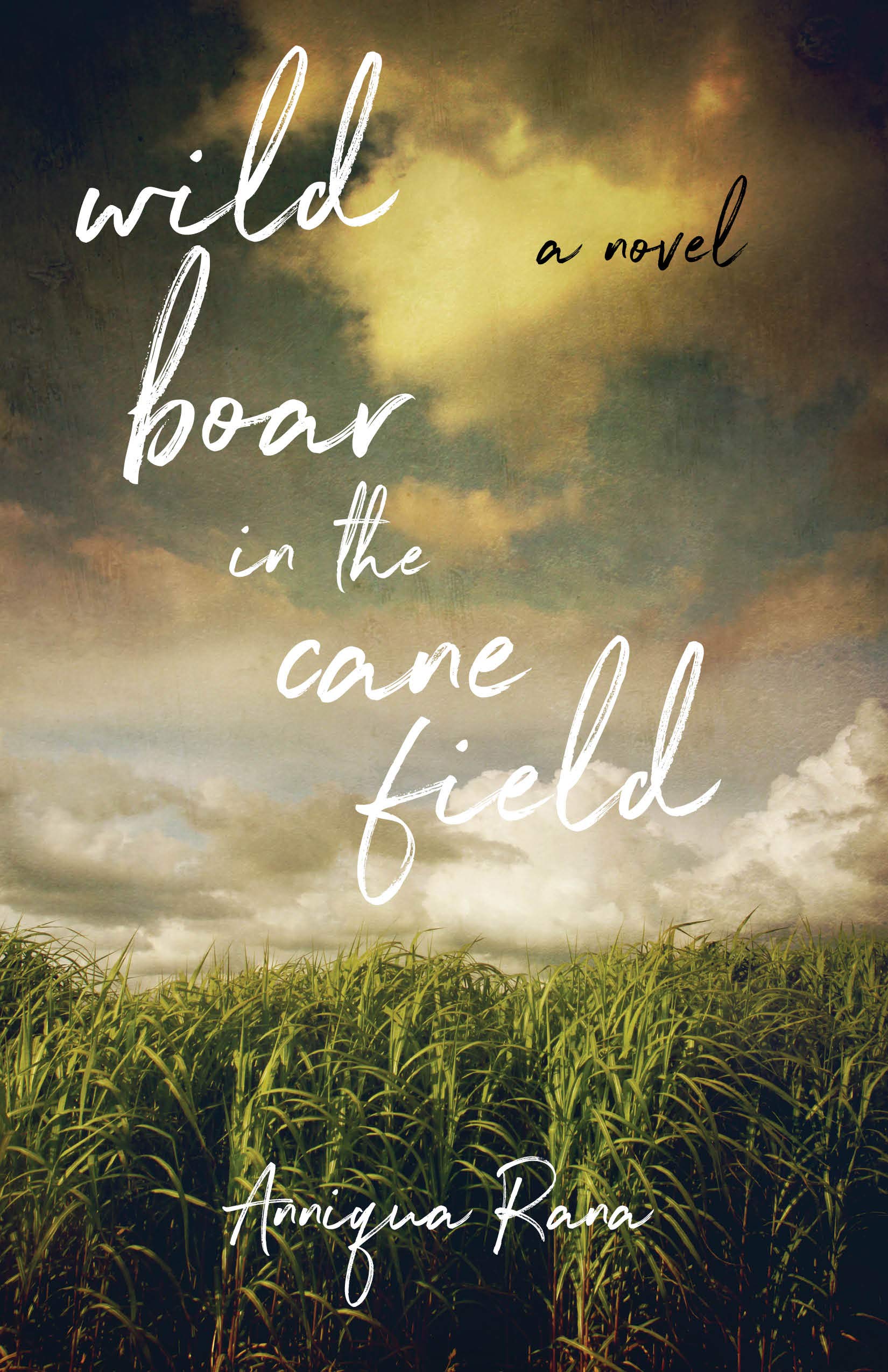 Wild Boar in the Cane Field Historical Fiction