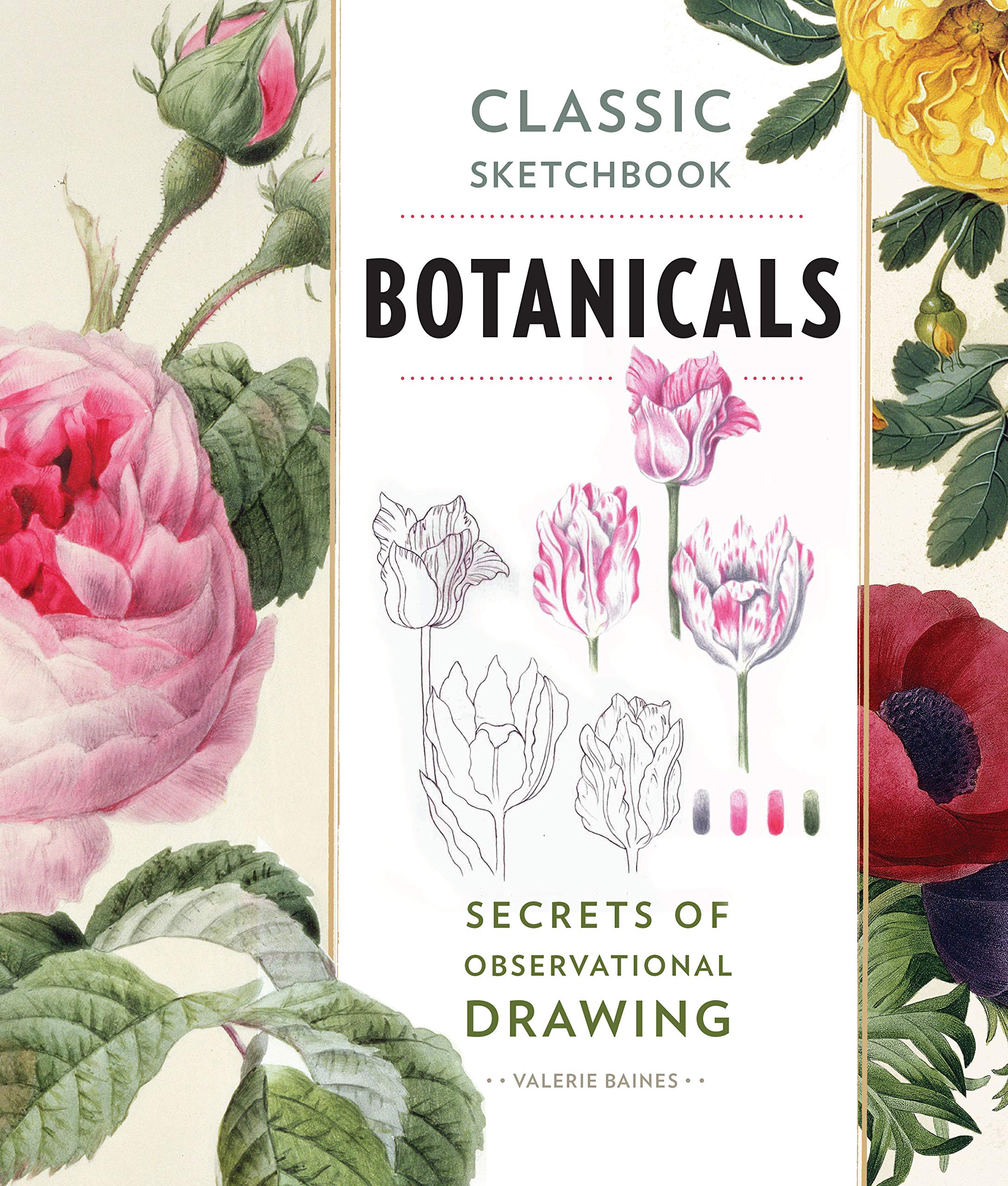 Classic Sketchbook: Botanicals: Secrets of Observational Drawing Mathematics