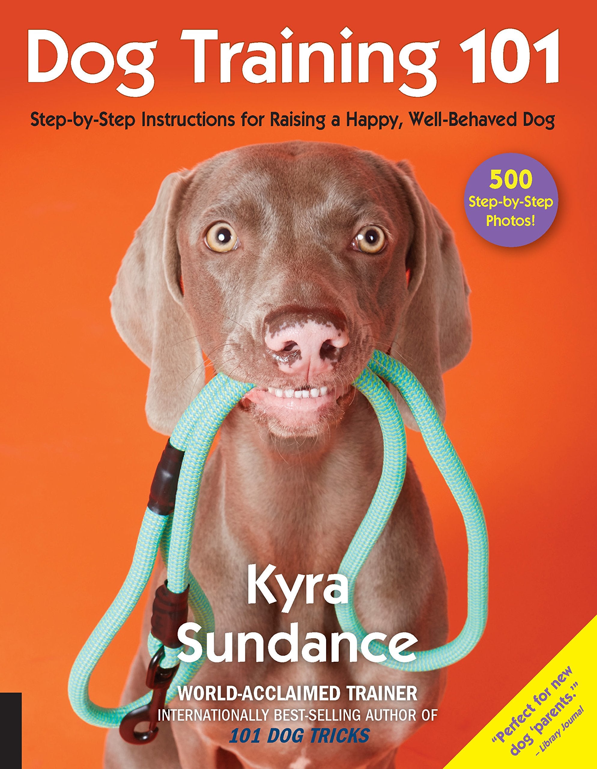 Dog Training 101: Step-By-Step Instructions for Raising a Happy Well-Behaved Dog (Dog Tricks and Training, Band 6) Pets