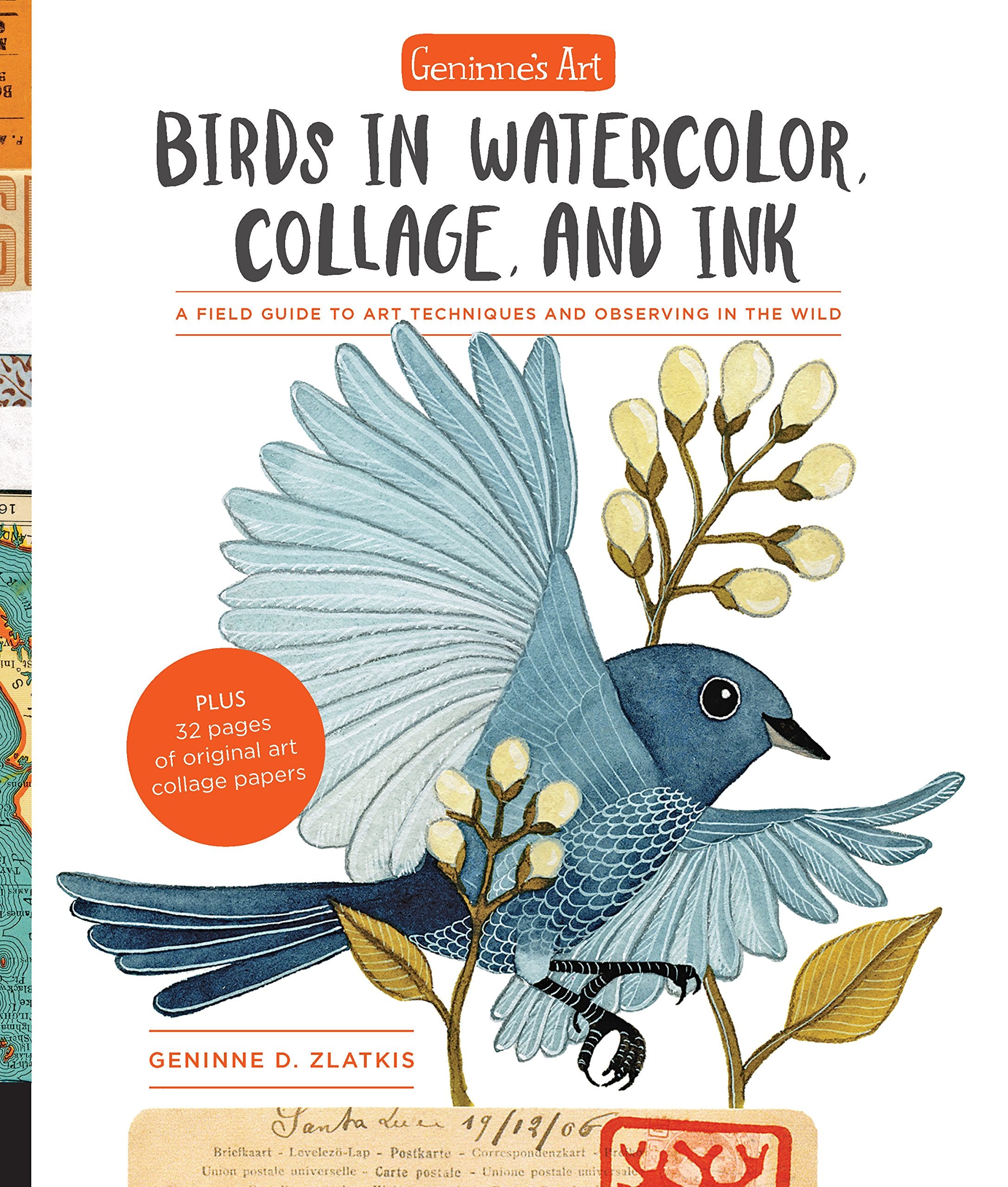 Geninne's Art: Birds in Watercolor, Collage, and Ink: A field guide to art techniques and observing in the wild Film, Art & Culture