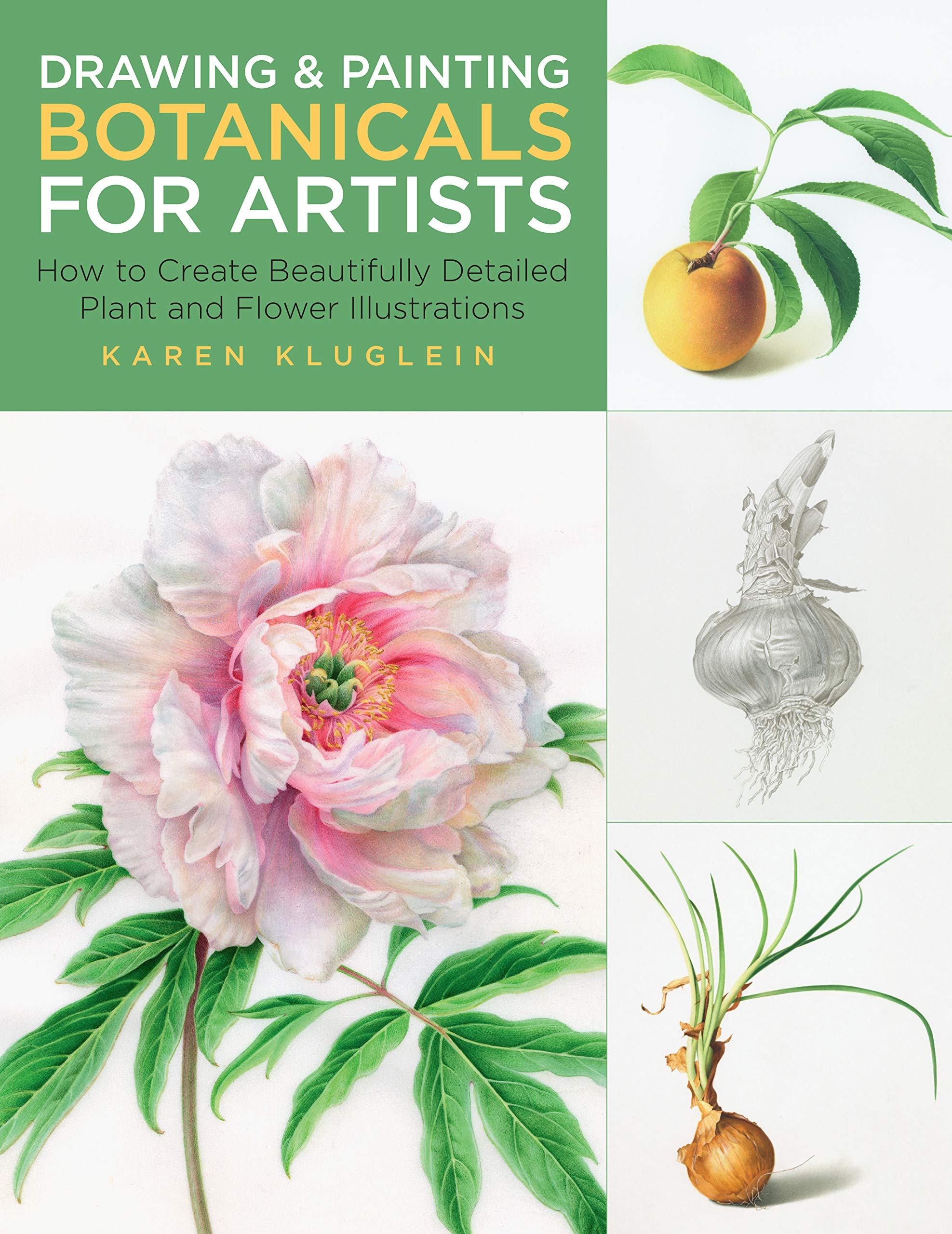 Drawing and Painting Botanicals for Artists: How to Create Beautifully Detailed Plant and Flower Illustrations (4) Arts & Music