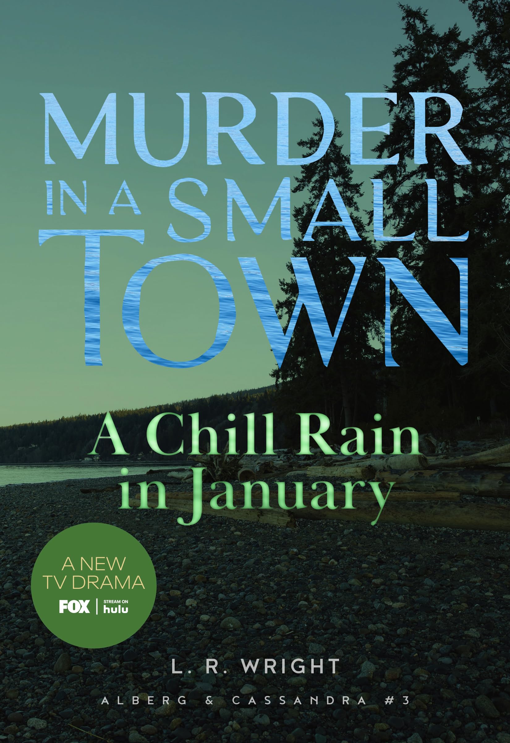 A Chill Rain in January: Murder in a Small Town (Alberg & Cassandra, 3, Band 3) Contemporary literature