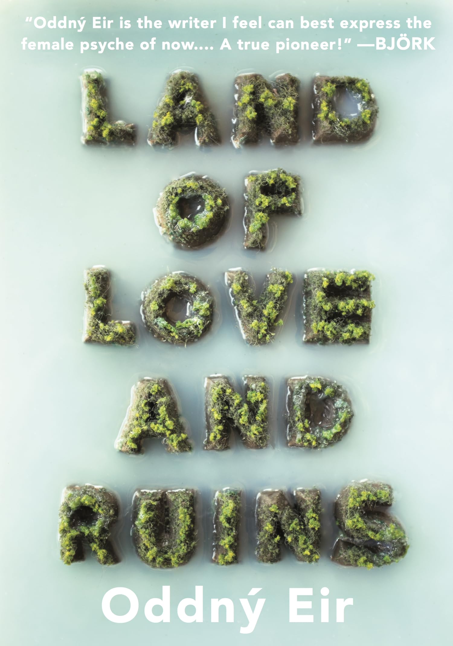 Land of Love and Ruins book