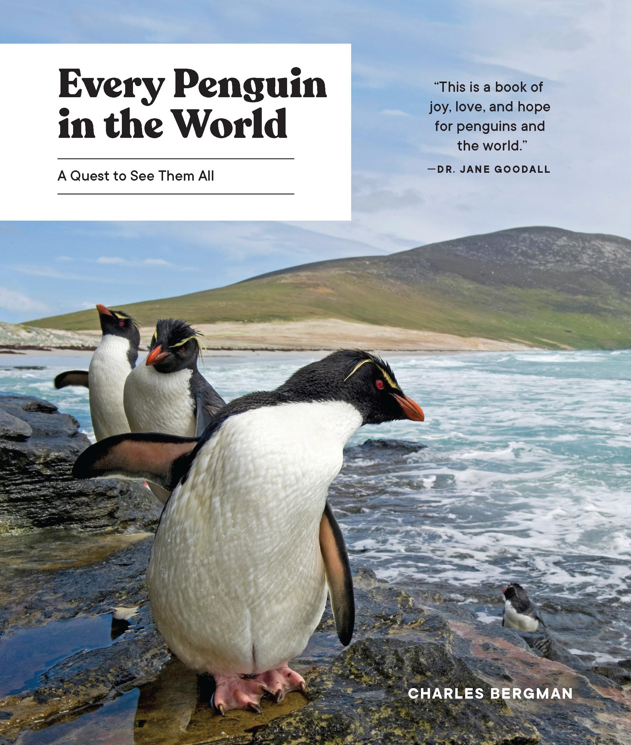 Every Penguin in the World: A Quest to See Them All book