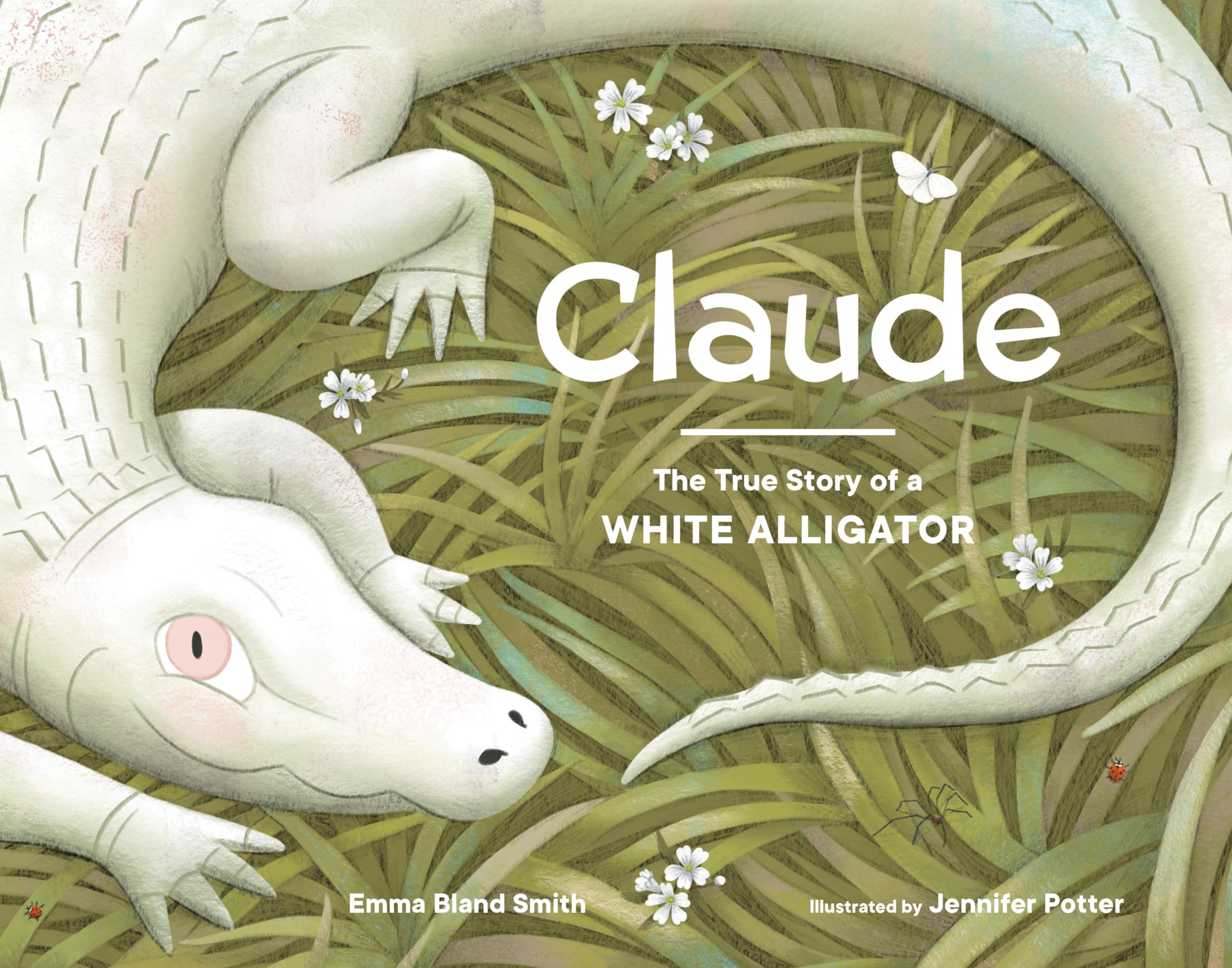 Claude: The True Story of a White Alligator Leisure, Home & Garden