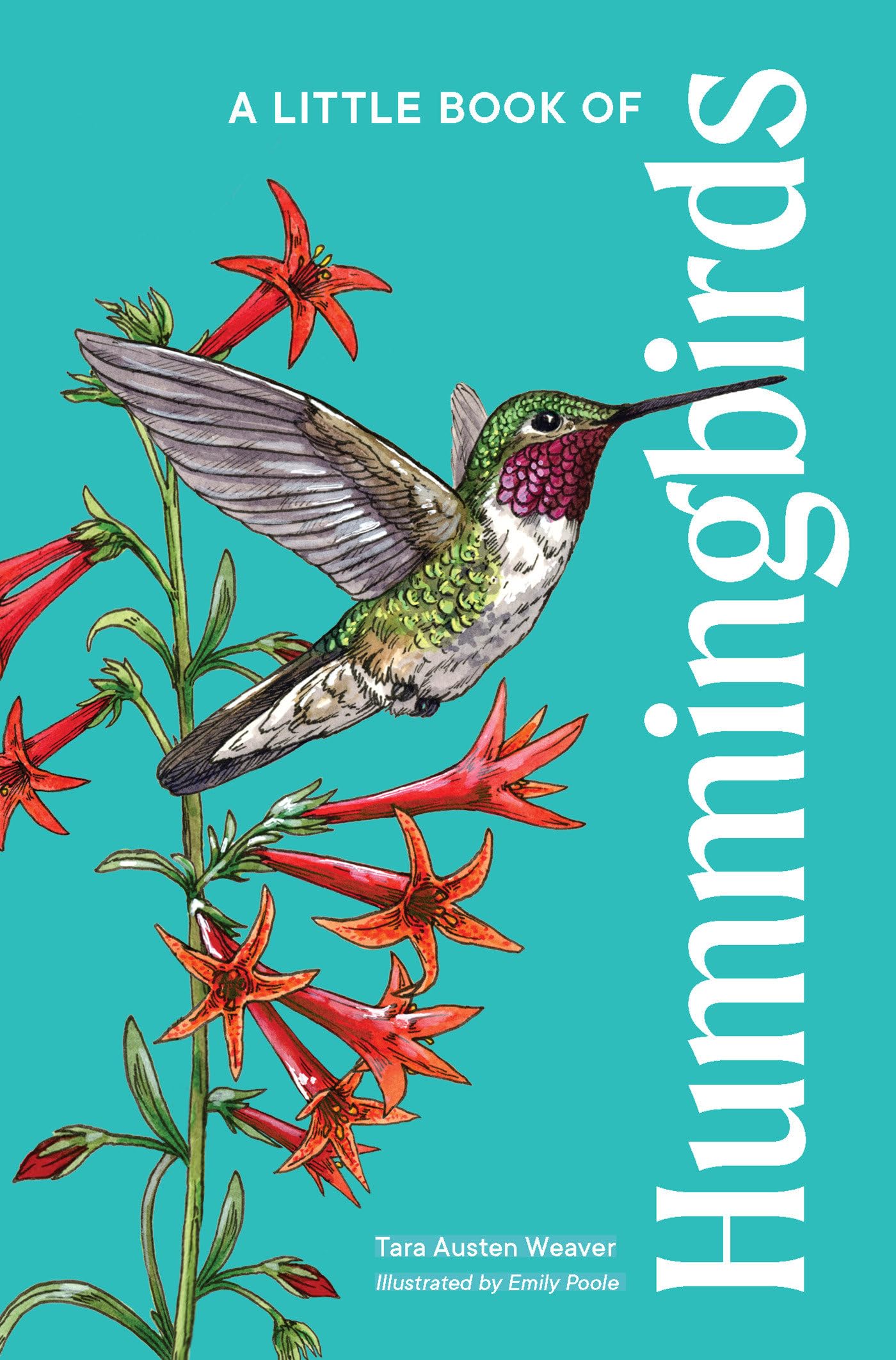 A Little Book of Hummingbirds: A Bird Identification Book (Little Book of Natural Wonders) Mathematics