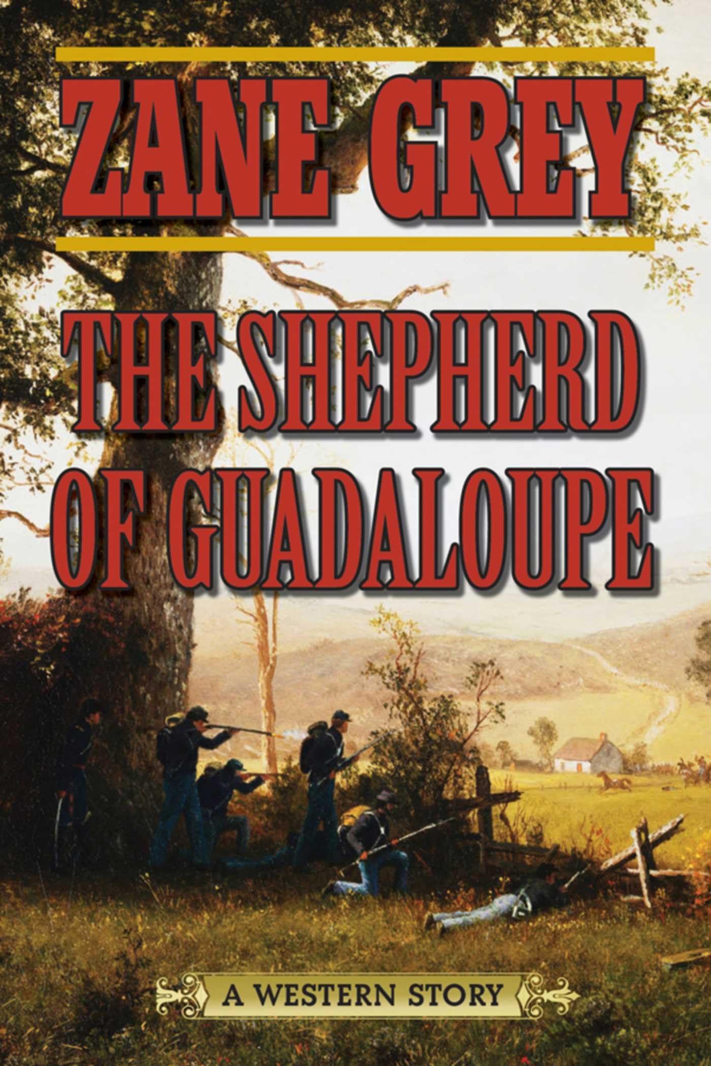 The Shepherd of Guadaloupe: A Western Story Action & Adventure
