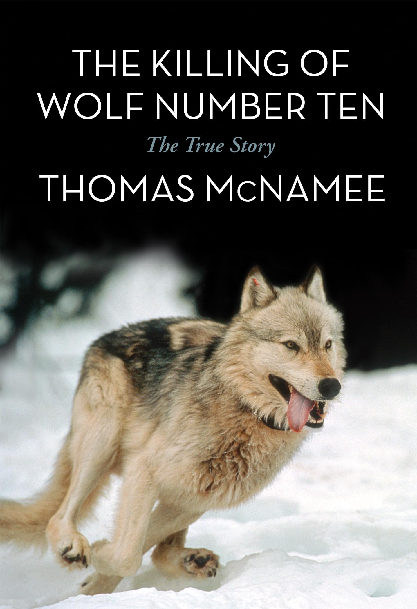 Killing of Wolf Number Ten: The True Story Geology & Geography