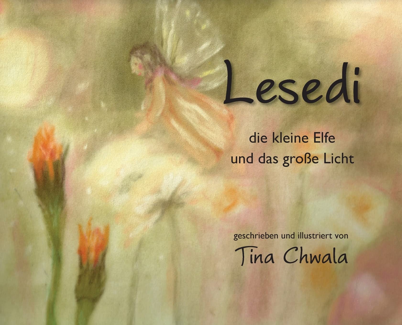 Lesedi, die kleine Elfe und das grosse Licht Non-fiction