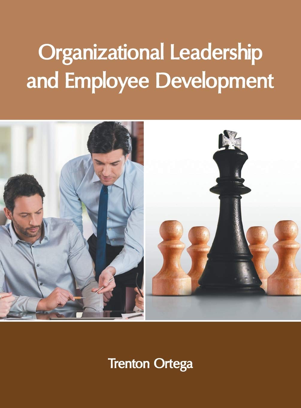 Organizational Leadership and Employee Development Law