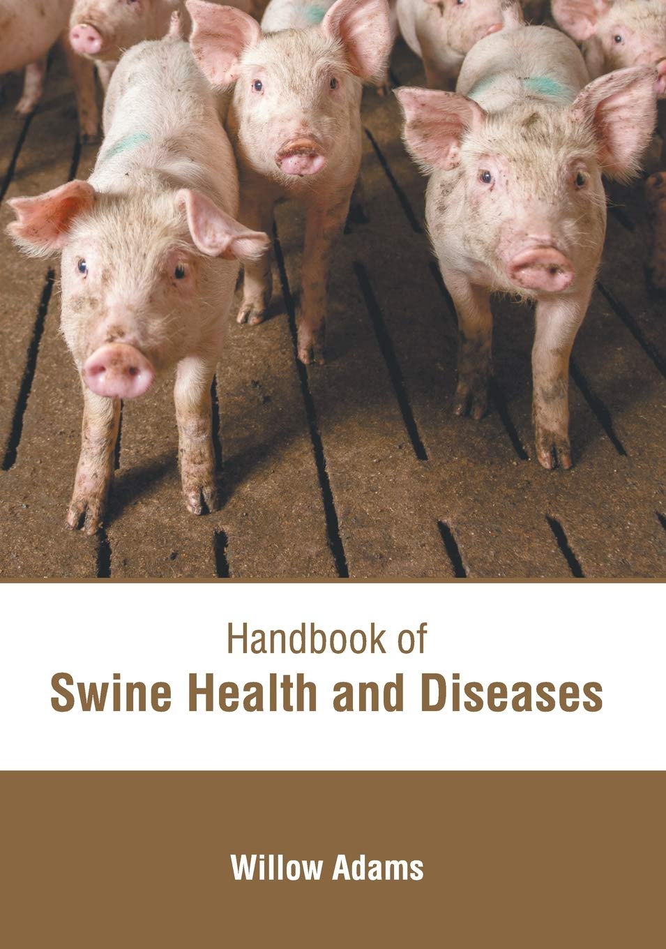 Handbook of Swine Health and Diseases Medicine