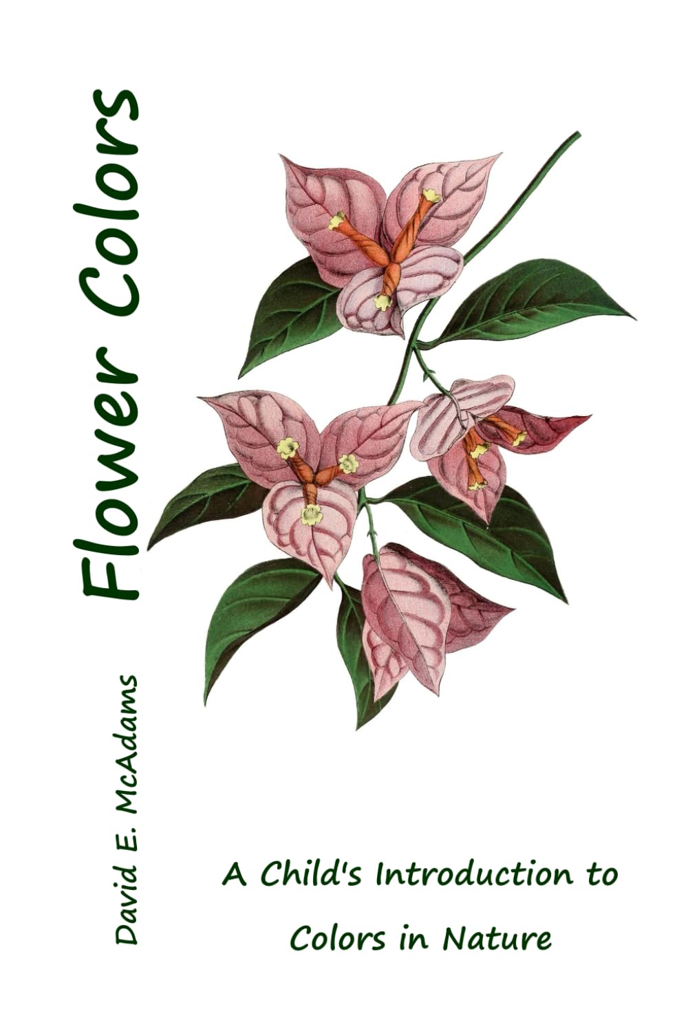 Colors of Flowers: A Child's Introduction to Colors in the Natural World book